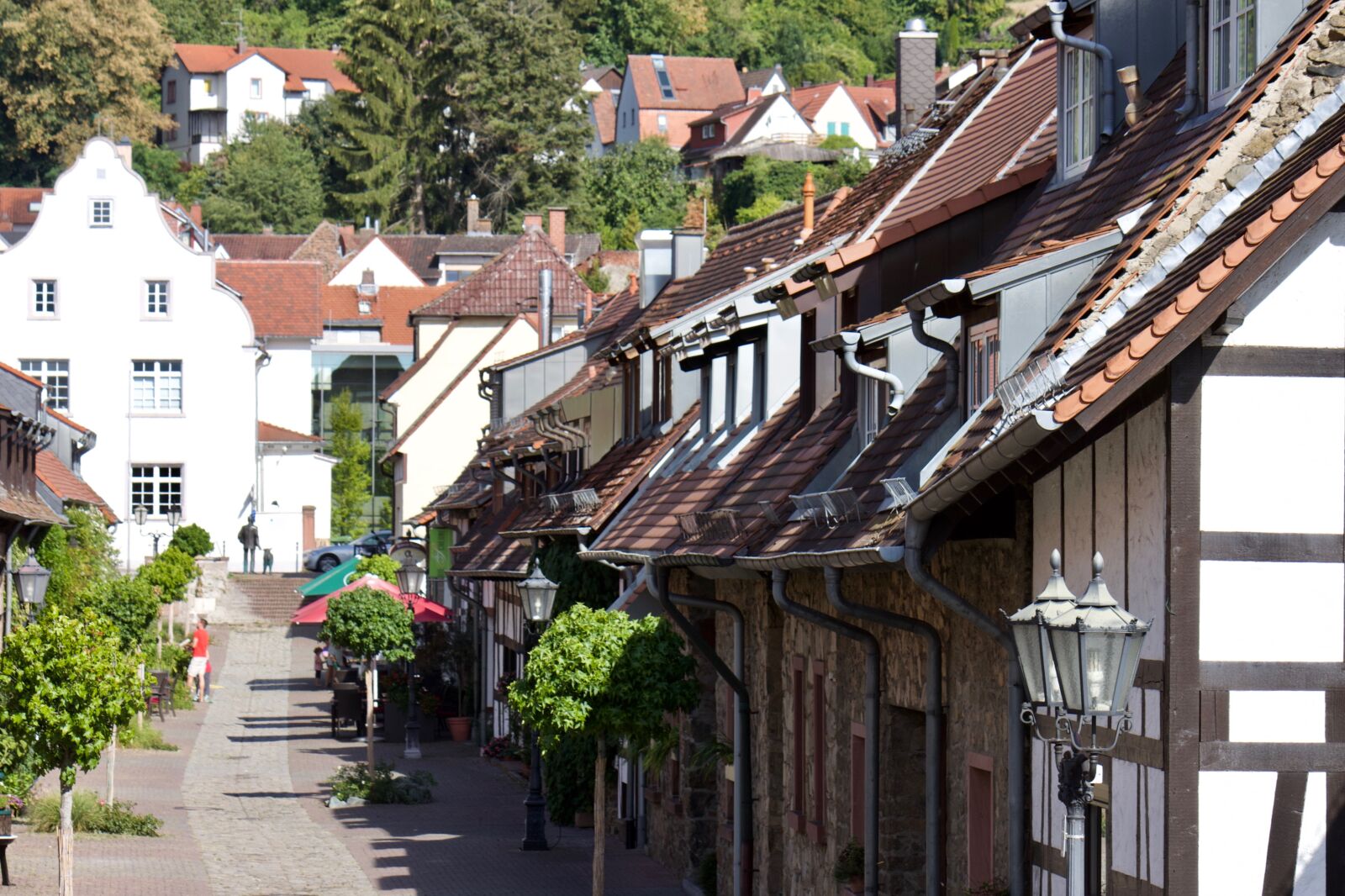 Canon EOS 500D (EOS Rebel T1i / EOS Kiss X3) sample photo. Zwingenberg, historic center, truss photography