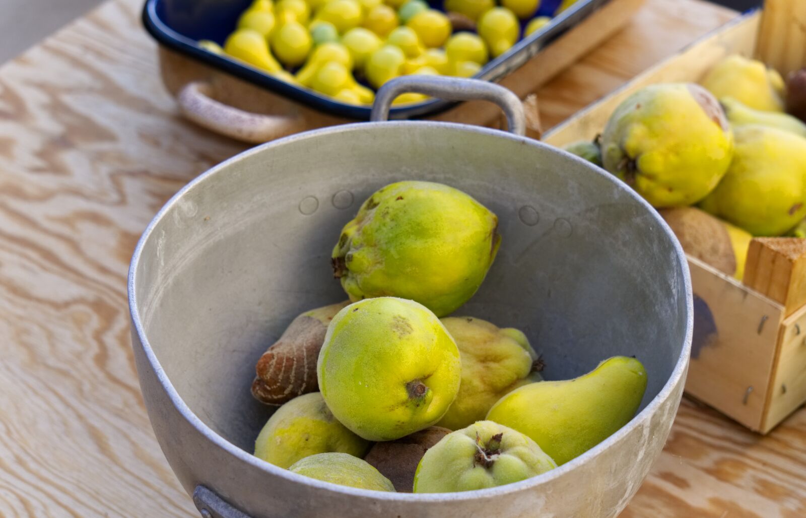 Sony a6000 sample photo. Quince, fruit, yellow photography