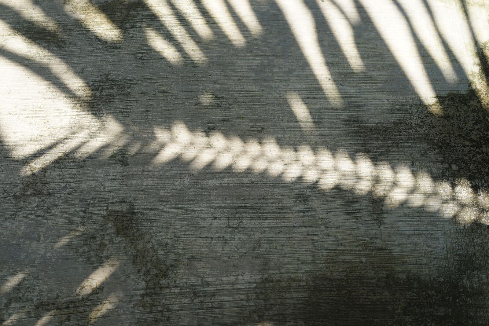 Sony Cyber-shot DSC-RX1R sample photo. Shadows, cemented walkway, abstract photography