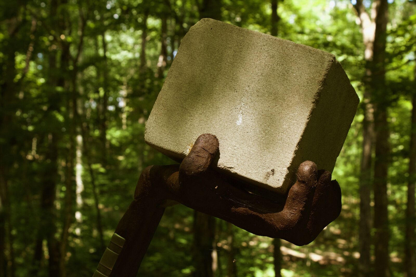 Canon EOS 1200D (EOS Rebel T5 / EOS Kiss X70 / EOS Hi) sample photo. Sculpture, forest, abstract photography
