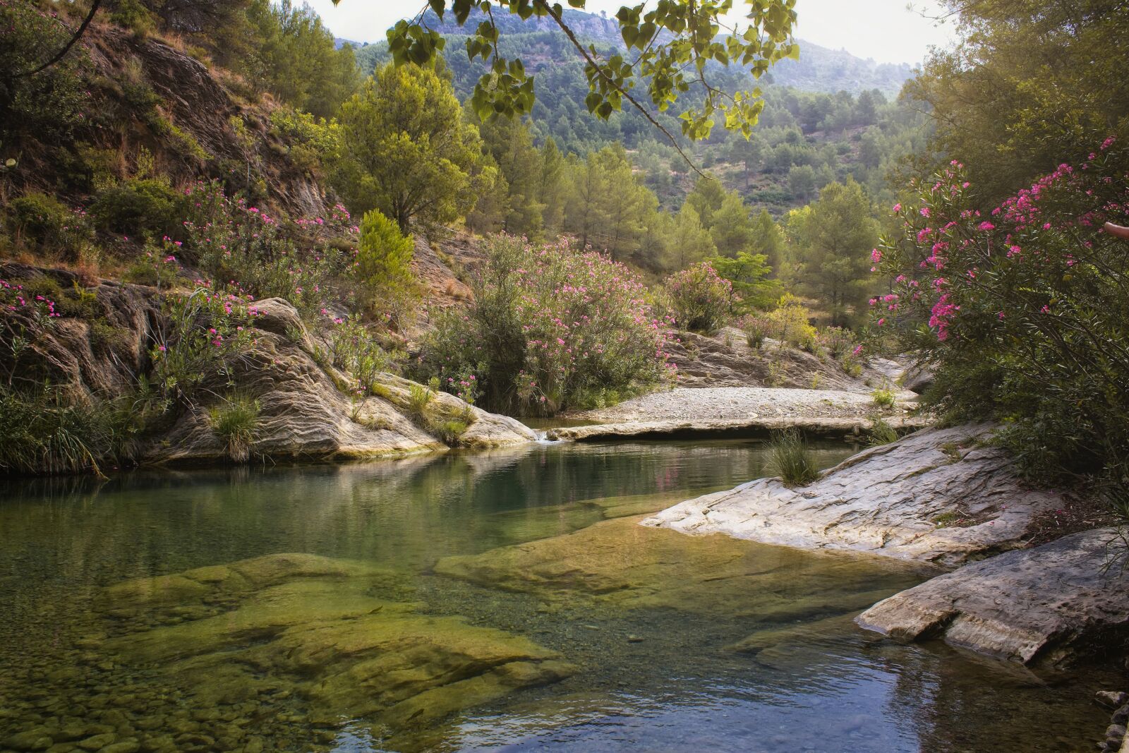 Canon EOS 1300D (EOS Rebel T6 / EOS Kiss X80) sample photo. Landscape, nature, river photography