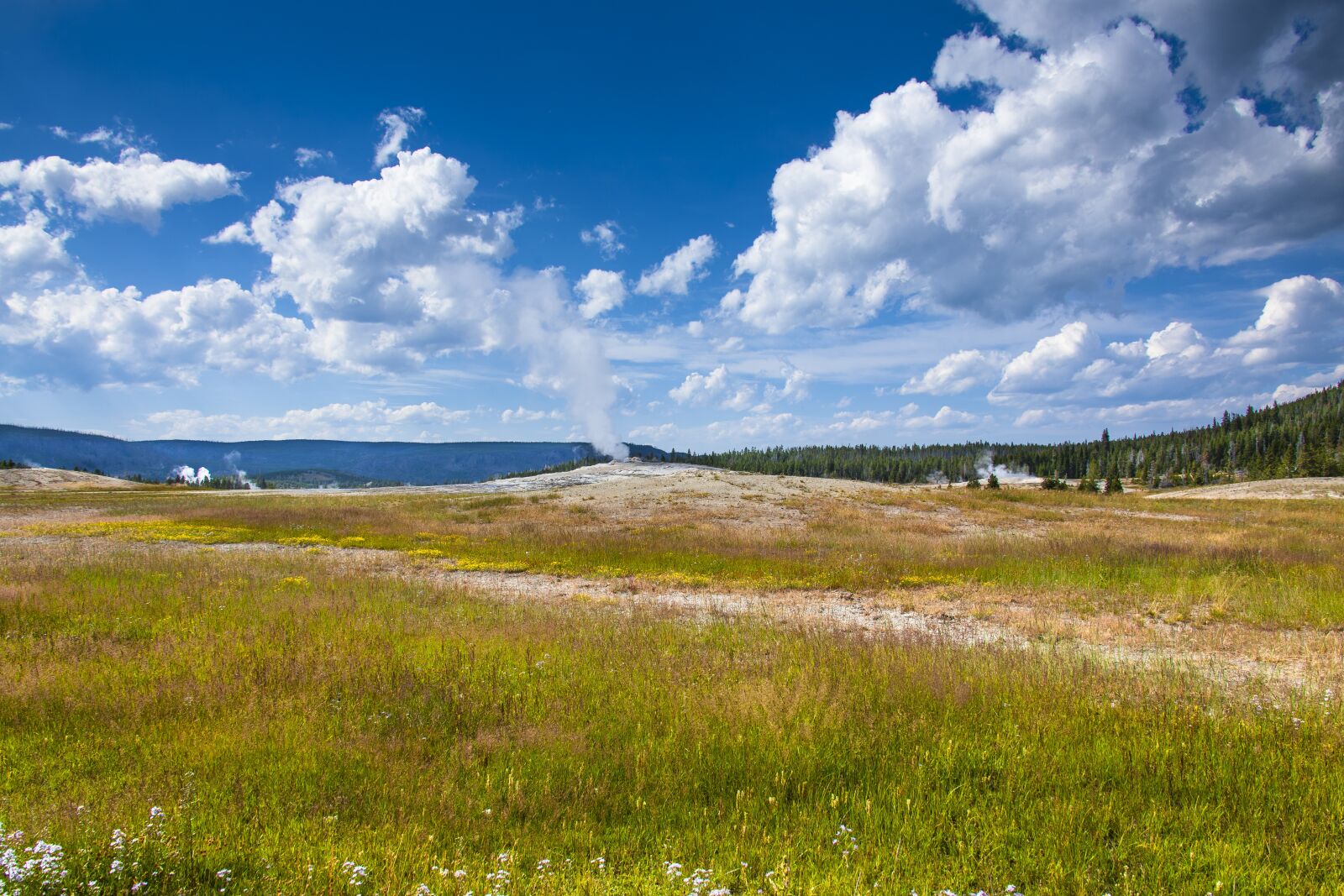 Canon EOS 5D Mark II sample photo. Geysers, steam, yellowstone photography