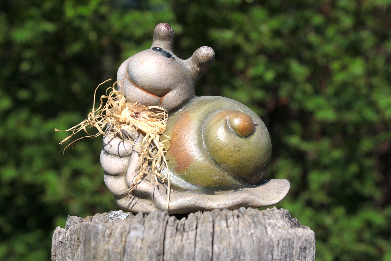 Canon EOS 1000D (EOS Digital Rebel XS / EOS Kiss F) sample photo. Snail, dreamy, casing photography