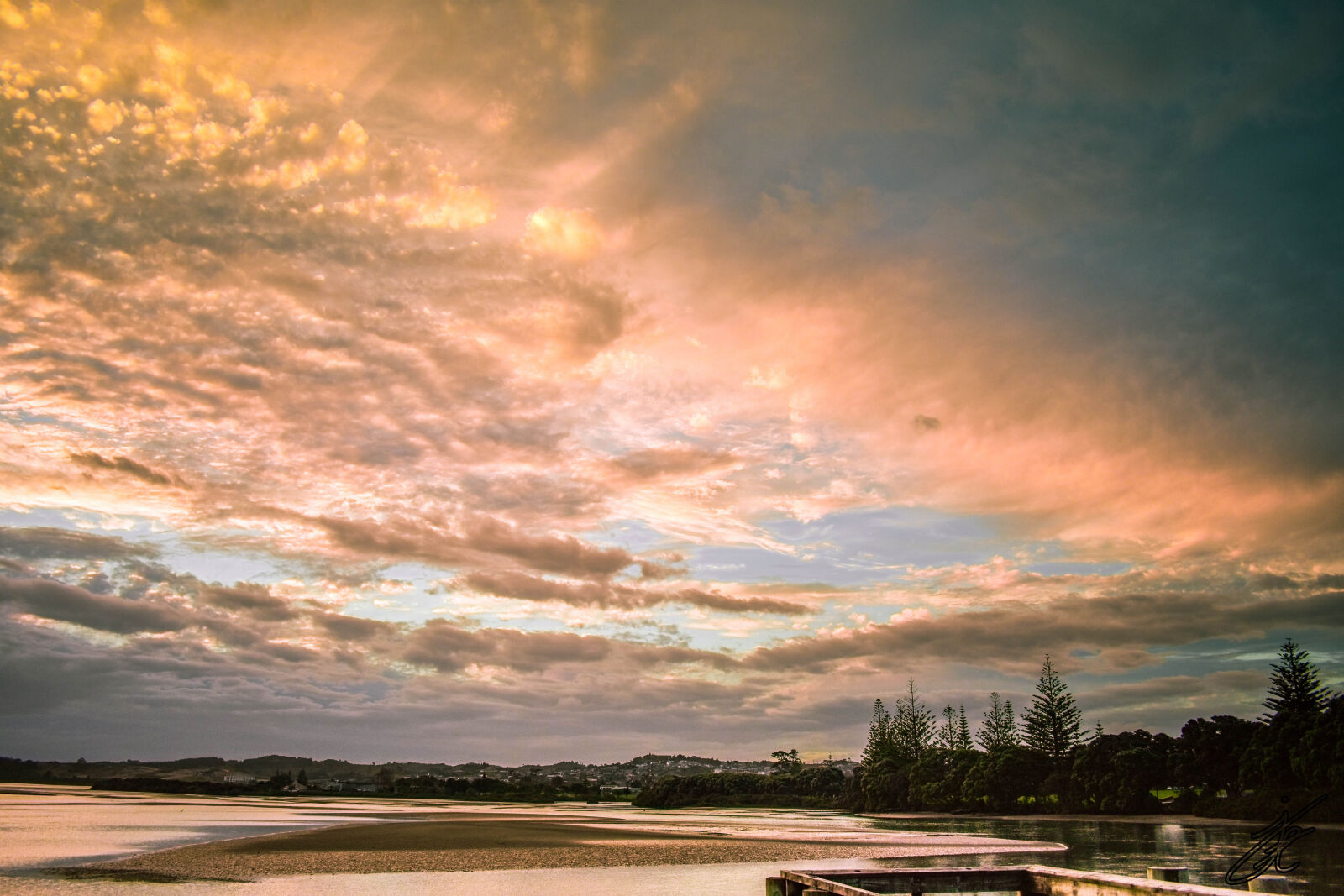 Nikon D3400 sample photo. Auckland, gold, new, z photography