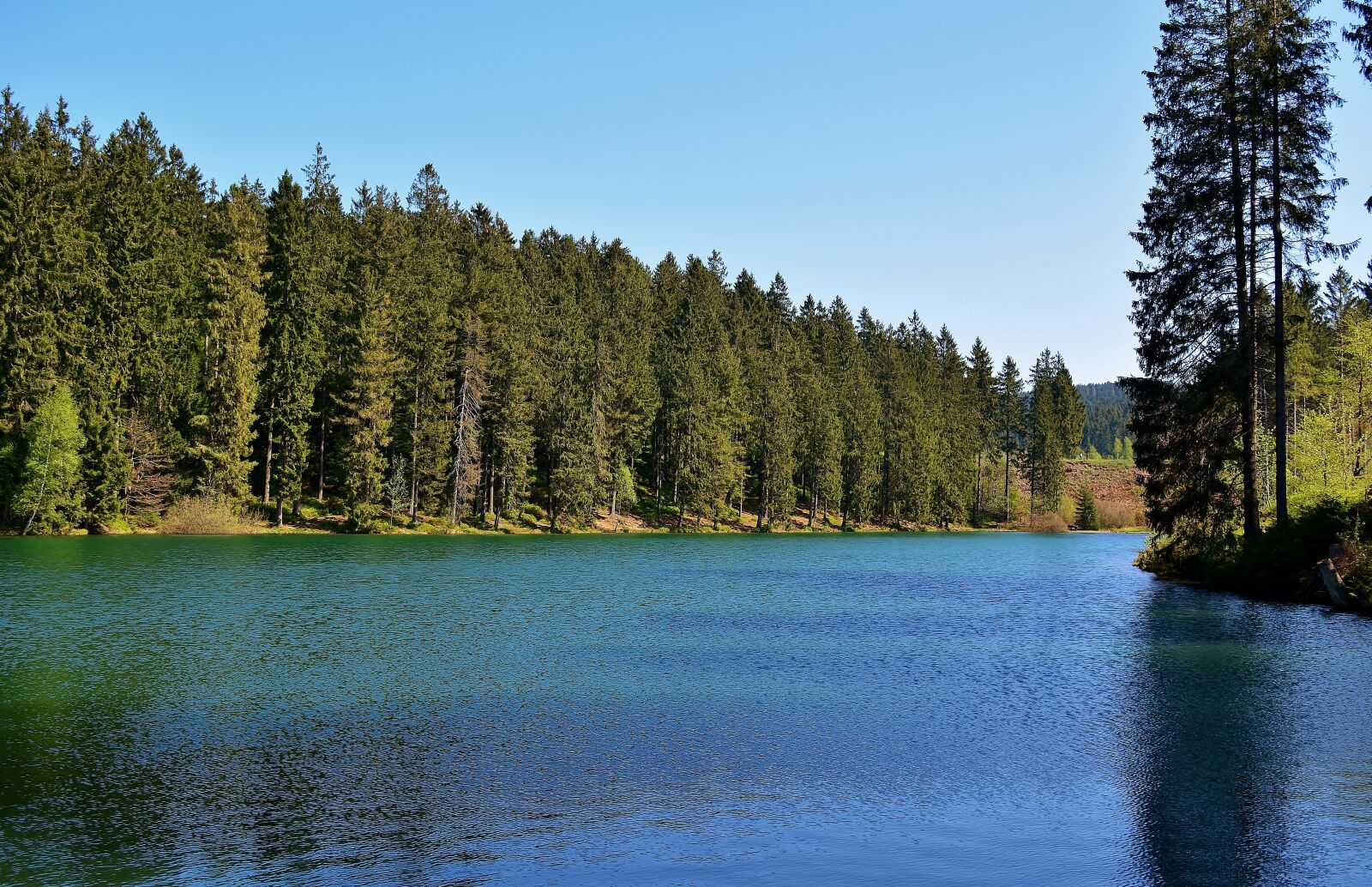 Nikon D5200 sample photo. Forest, lake, landscape photography