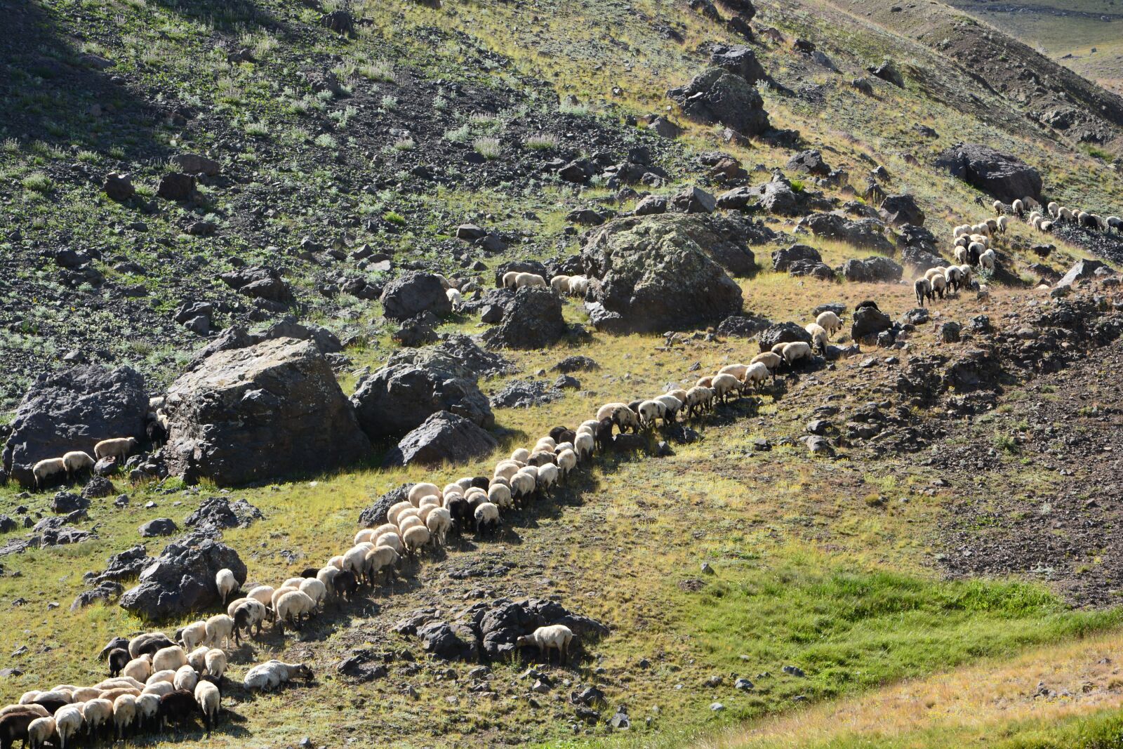 Nikon D7100 sample photo. Nature, landscape, kaçkars photography