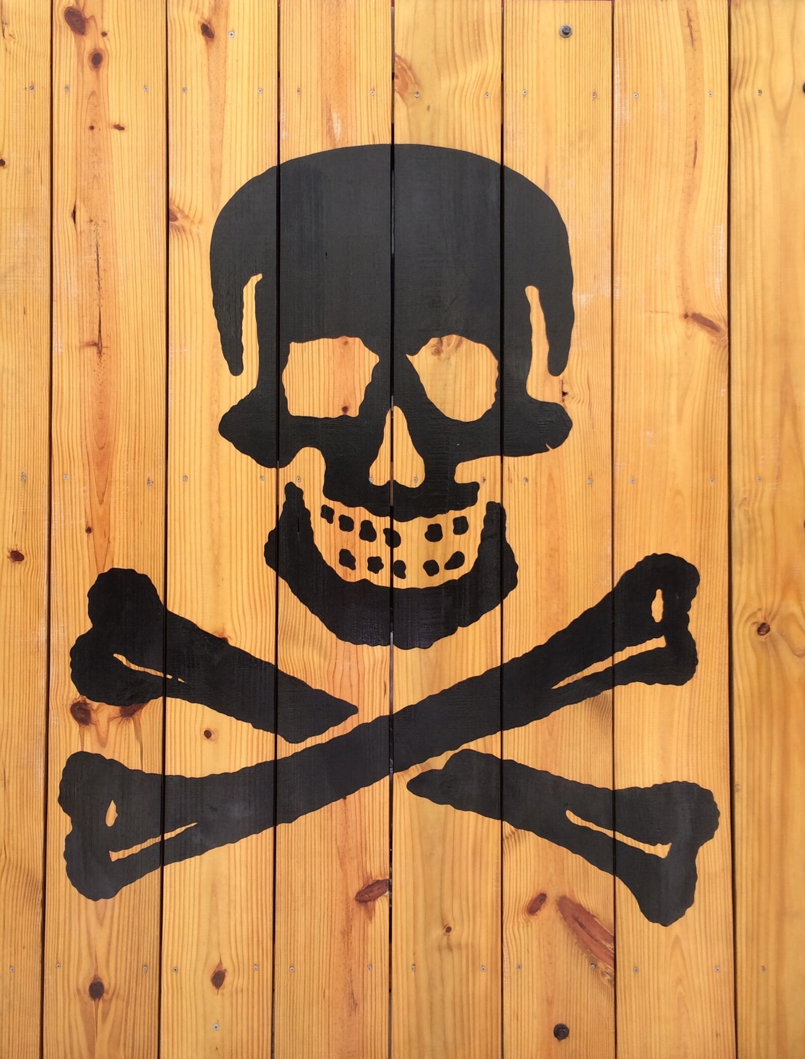iPhone 5s back camera 4.12mm f/2.2 sample photo. Island, ron, pirate photography
