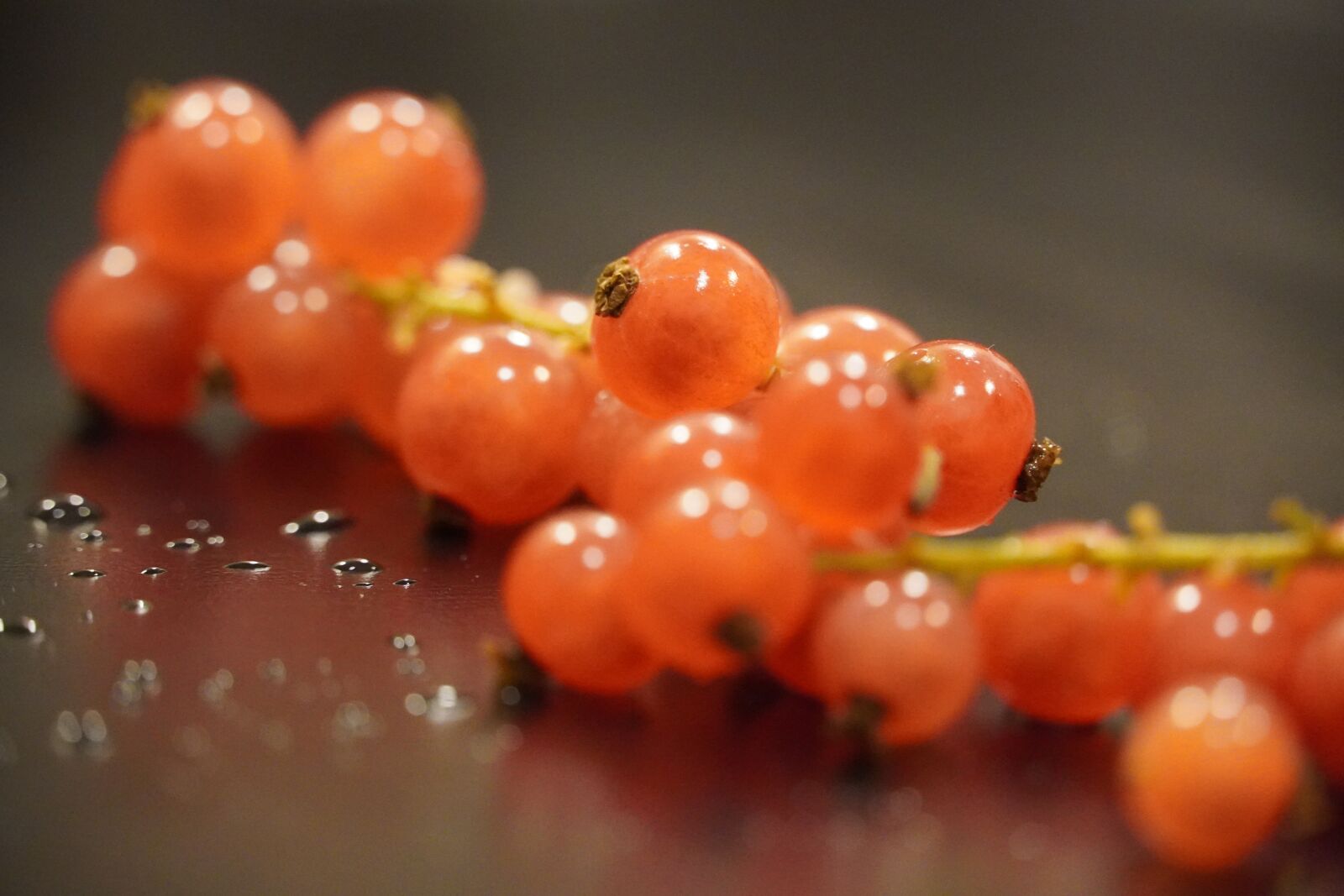 Sony a6400 sample photo. Berrie, red, orange photography