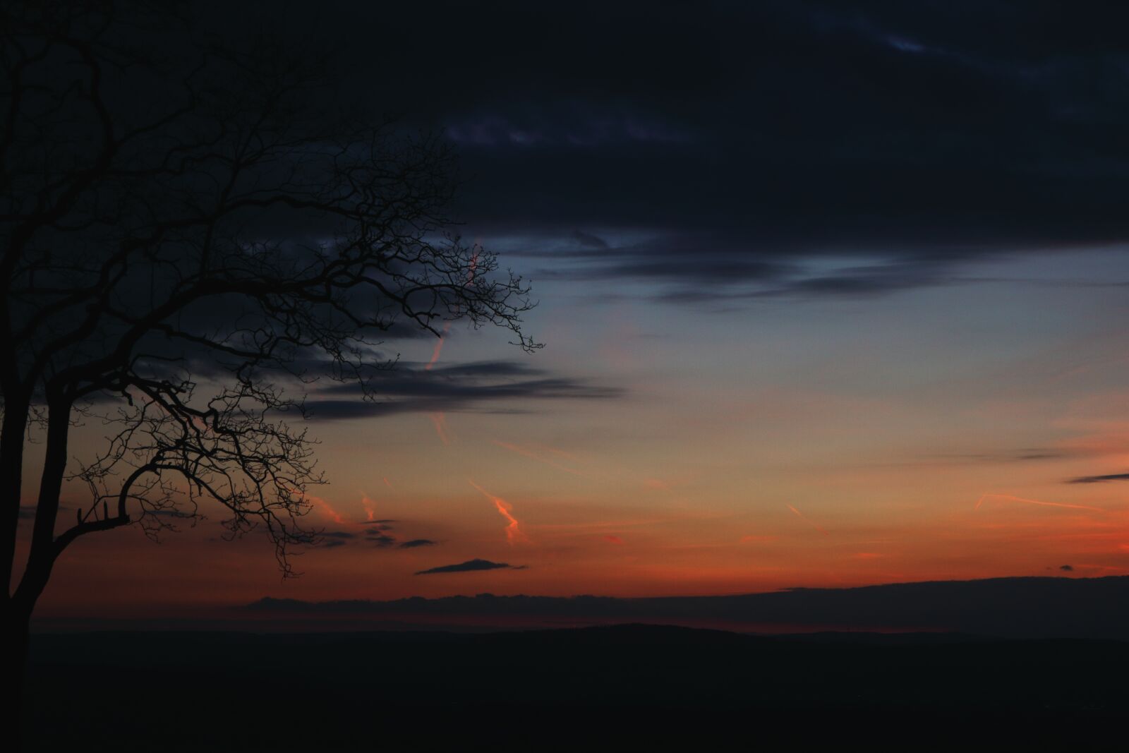 Canon EOS 750D (EOS Rebel T6i / EOS Kiss X8i) sample photo. Tree, mysterious, shadow photography