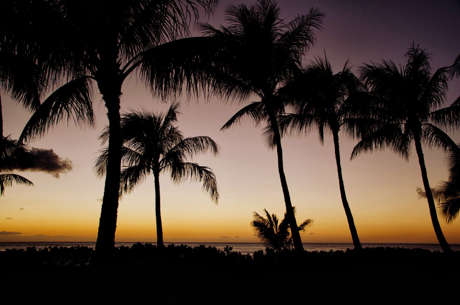 Nikon D5100 sample photo. Sunset, hawaii, sun photography
