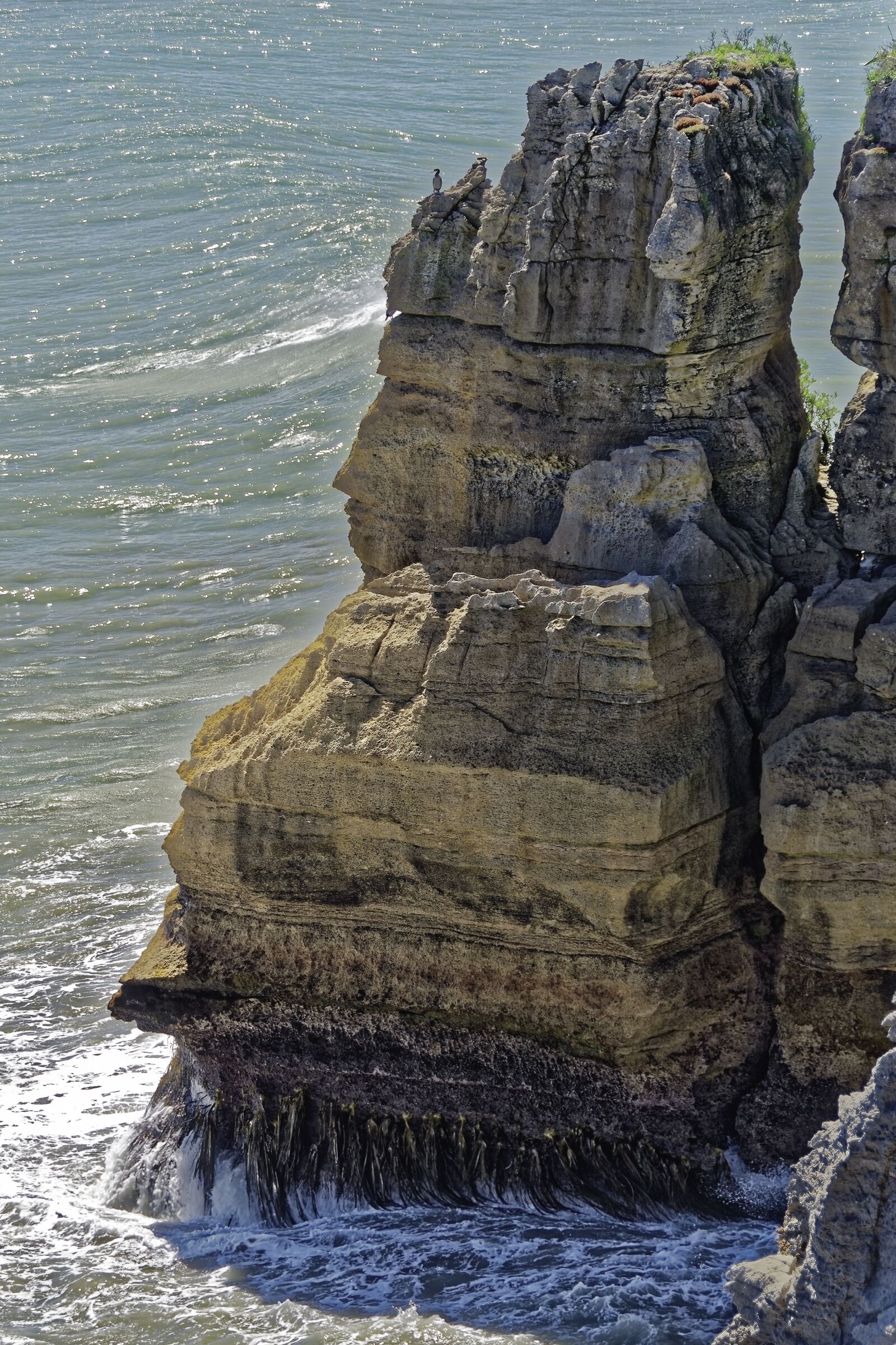 Nikon D500 sample photo. New zealand, south island photography