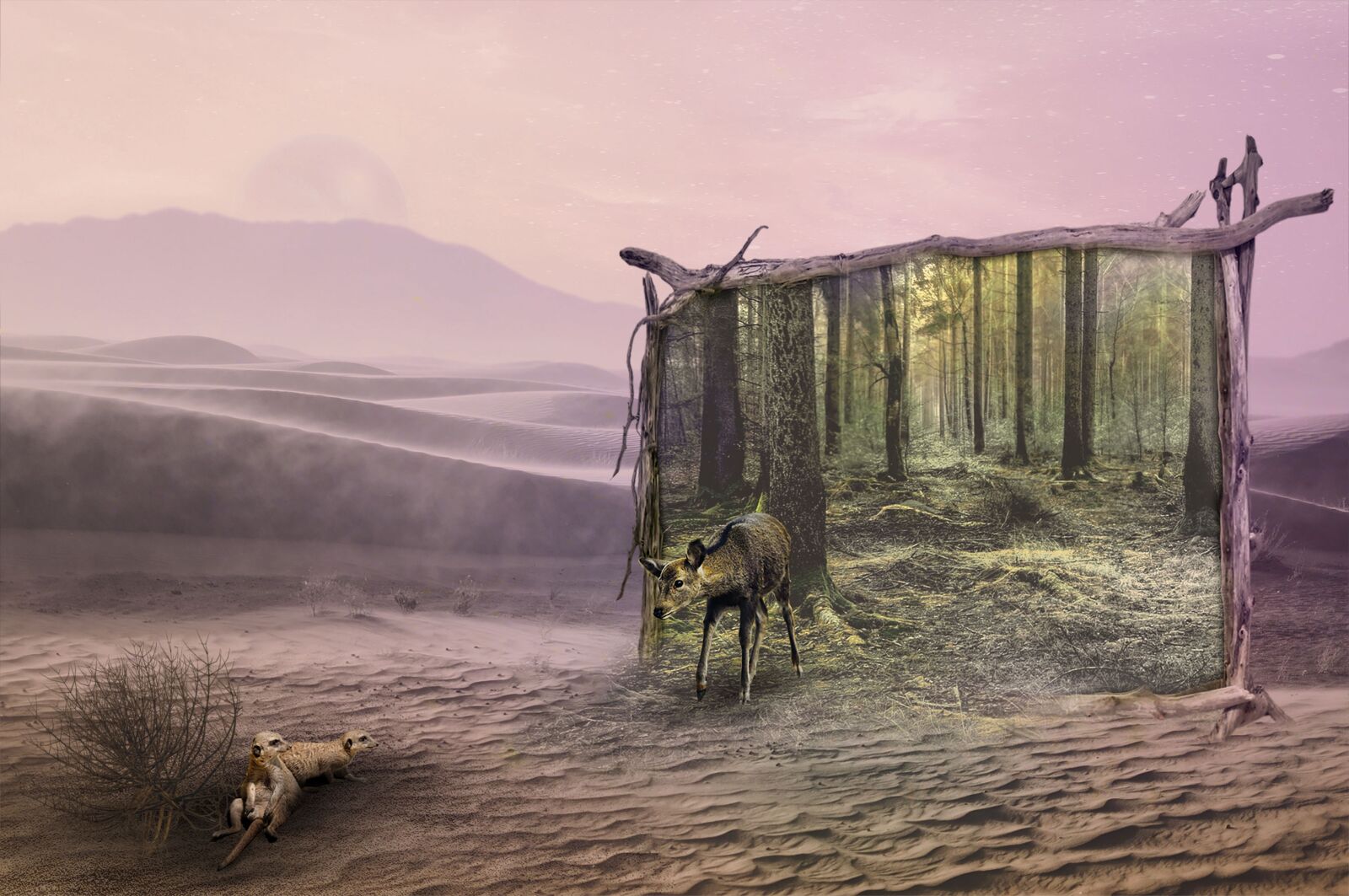 Nikon D3200 sample photo. Fantasy, nature, photoshop photography