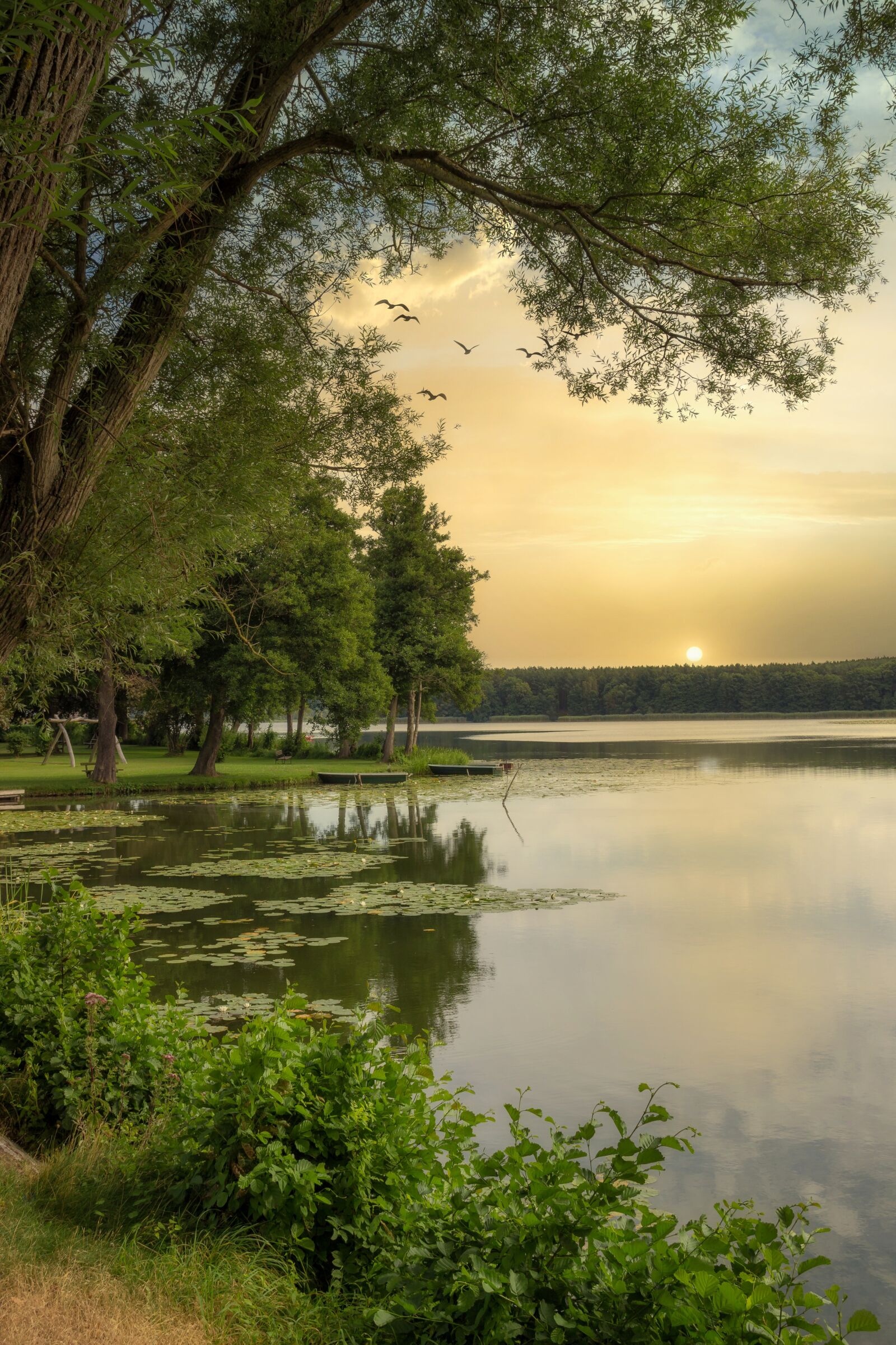 Canon EF-S 18-135mm F3.5-5.6 IS sample photo. Lake, lychen, uckermark photography