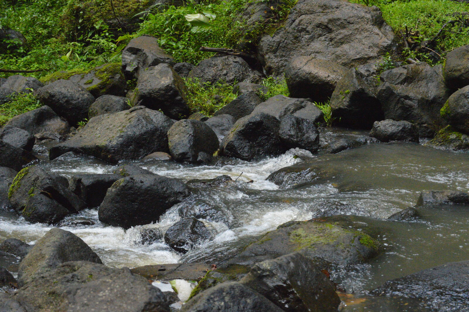 Nikon D3200 sample photo