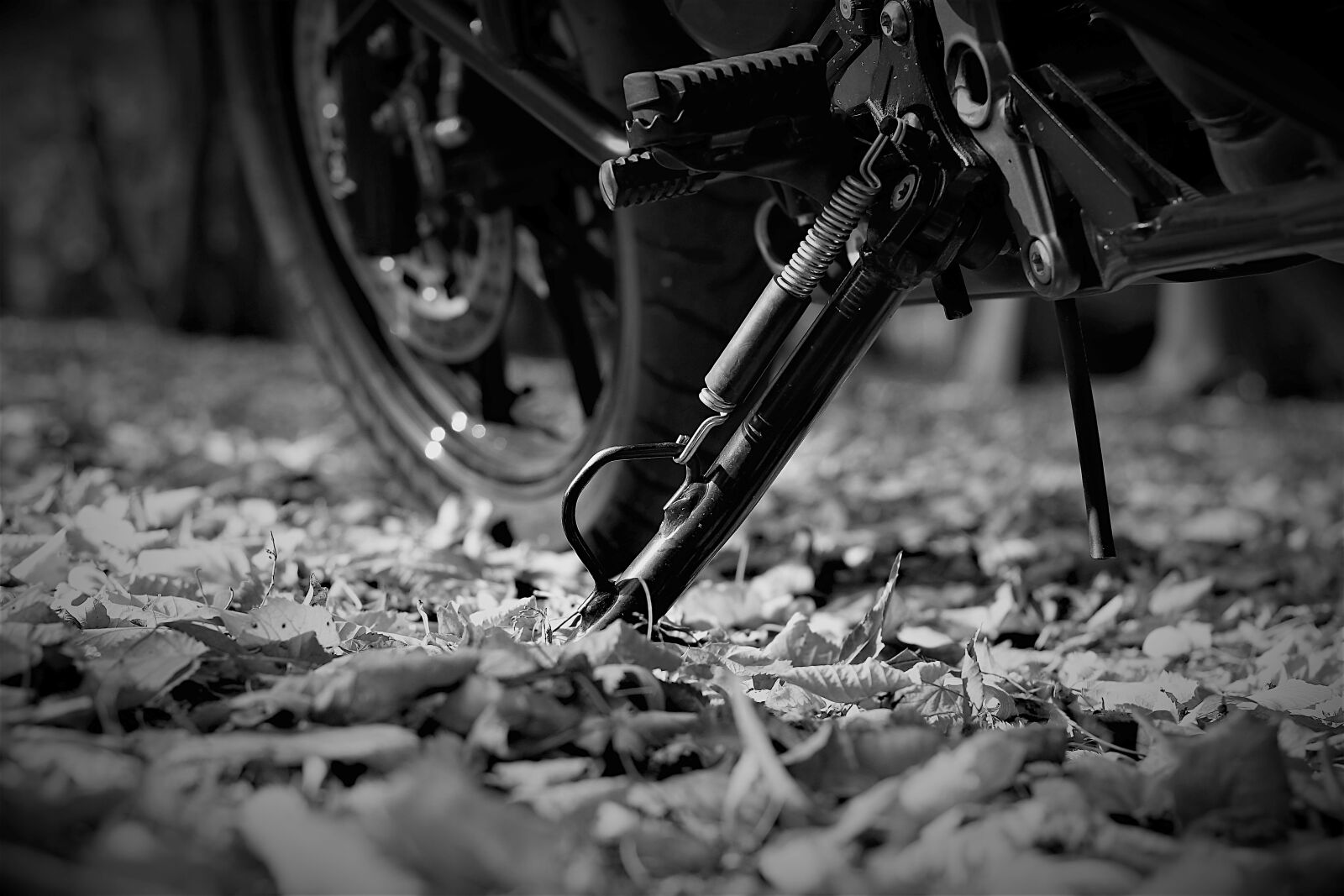 Nikon 1 J5 sample photo. Engine, bmw, f700gs photography