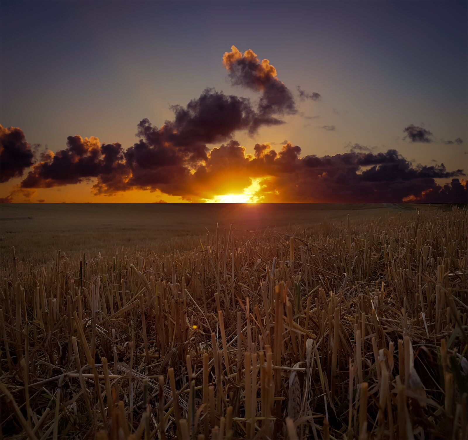 Samsung Galaxy S7 sample photo. Landscape, field, cornfield photography