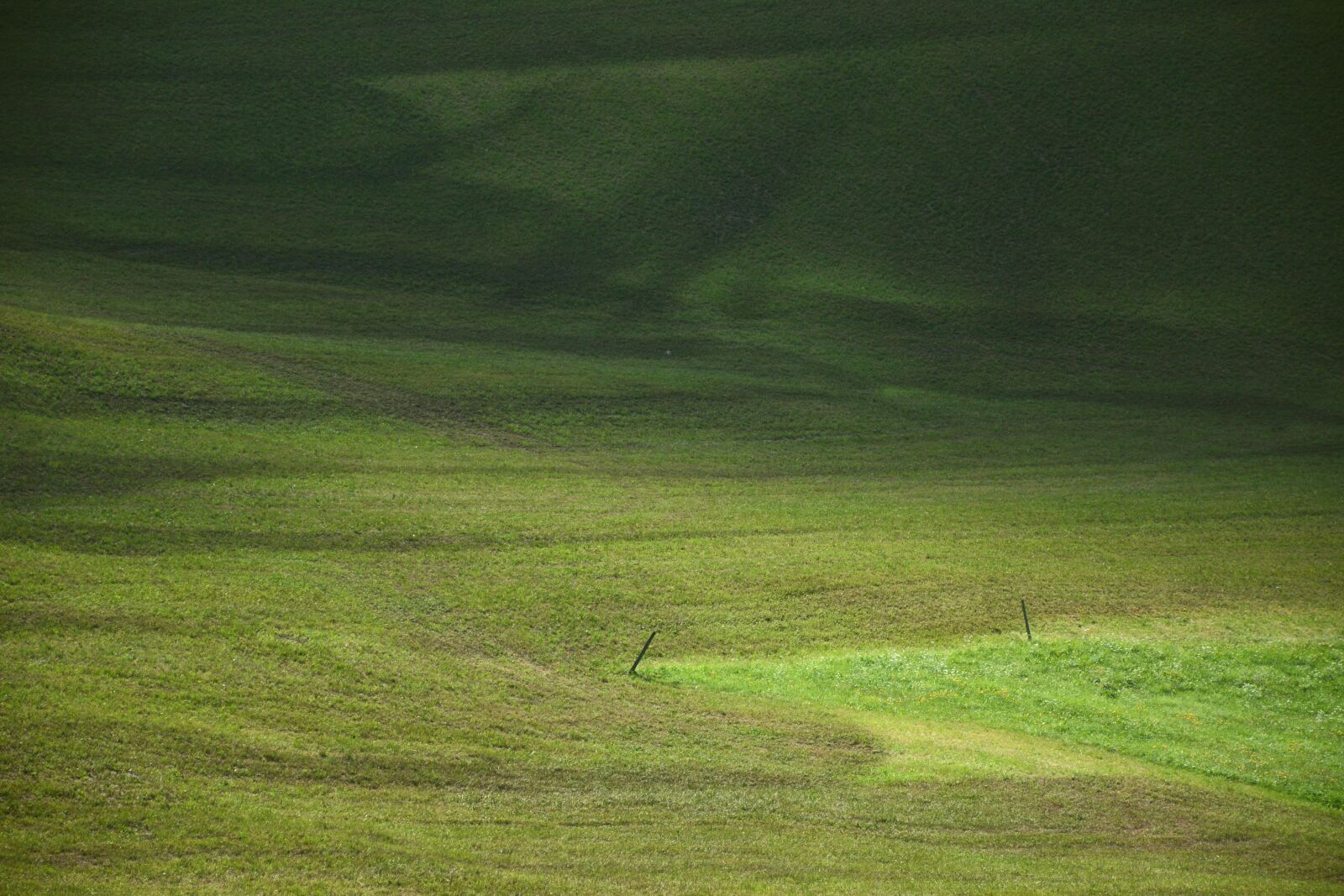 Nikon D7100 sample photo. Prato, grass, south tyrol photography