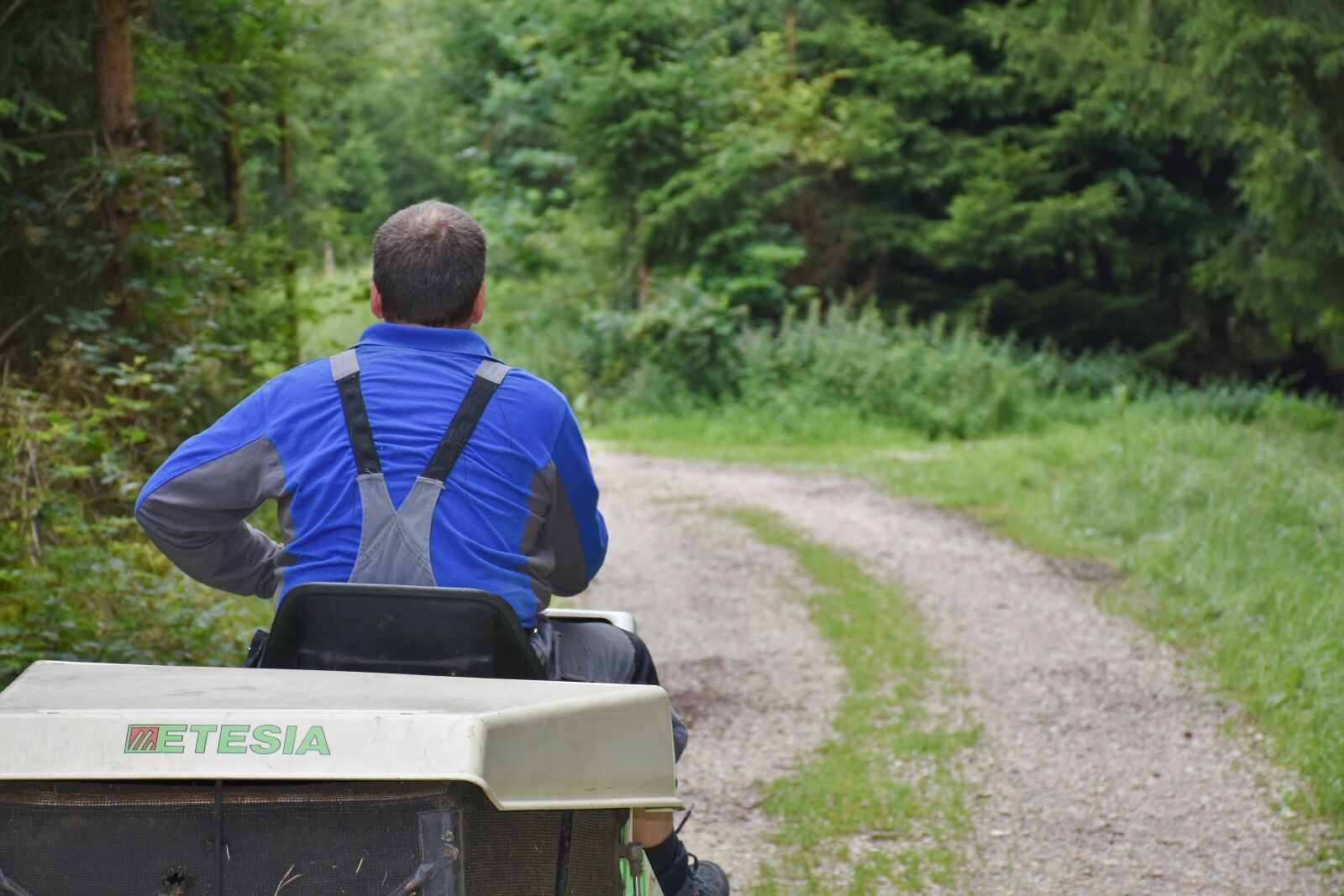 Nikon D7200 sample photo. Man, workers, lawn mower photography