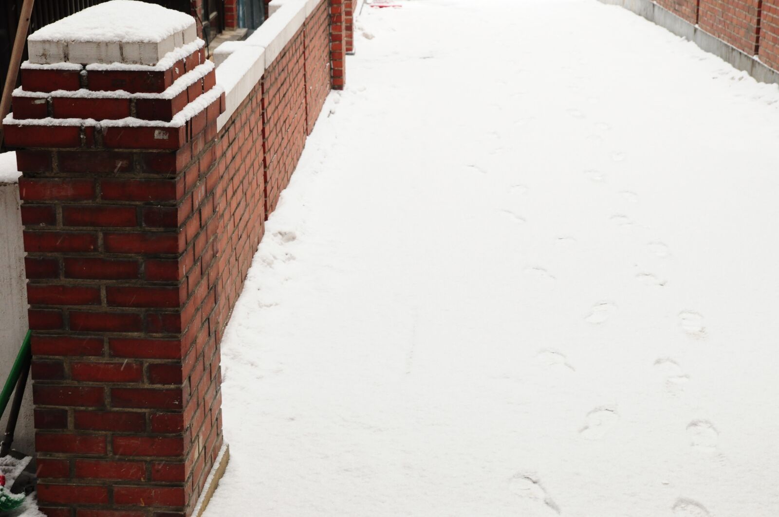 Nikon D90 sample photo. Snow, footprint, gil photography