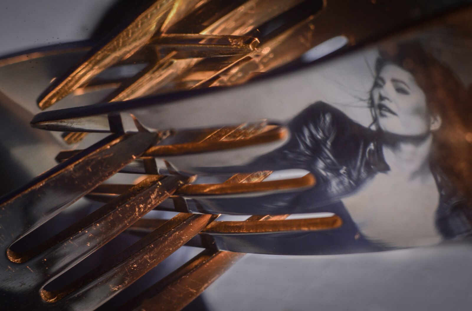 Nikon D3200 sample photo. Fork, article 1 2 photography