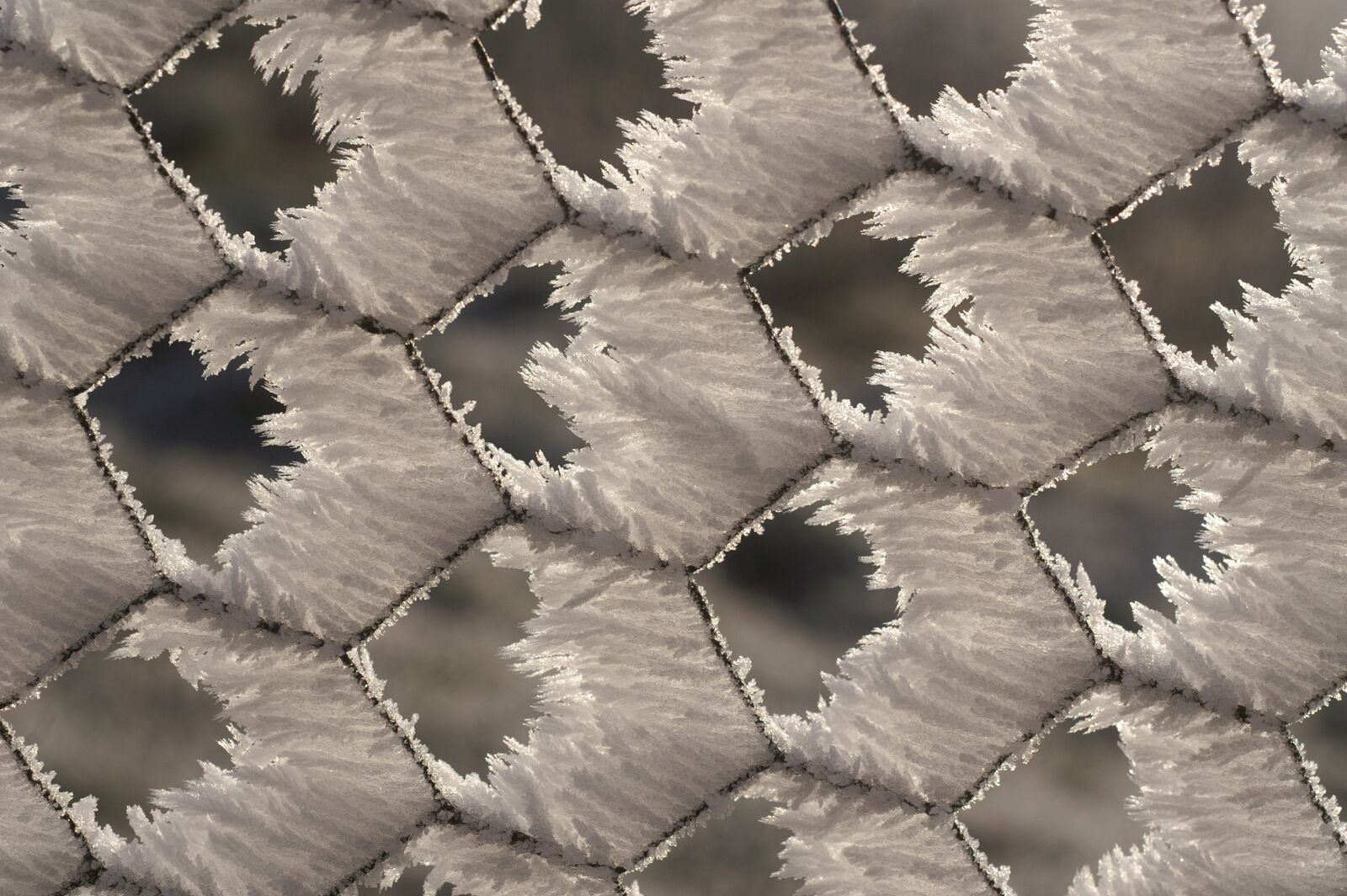 KONICA MINOLTA DYNAX 7D sample photo. Abstract, pattern, nature photography