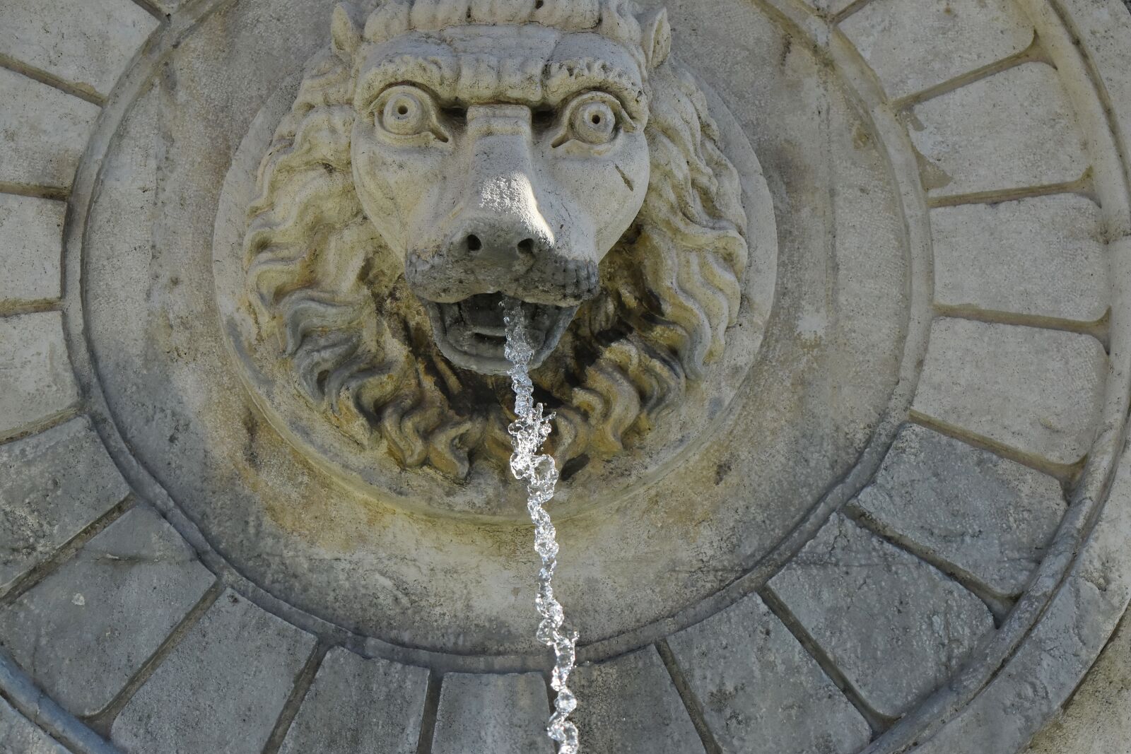 Nikon D5500 sample photo. Fountain, head, lion, marble photography