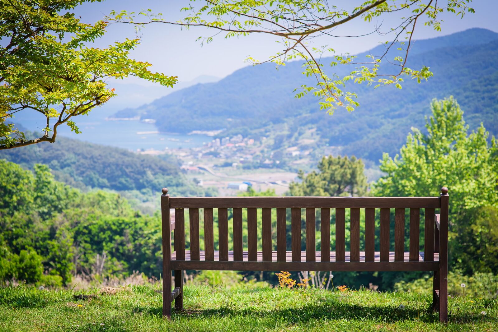 Nikon D750 sample photo. Tongyeong, nature, landscape photography