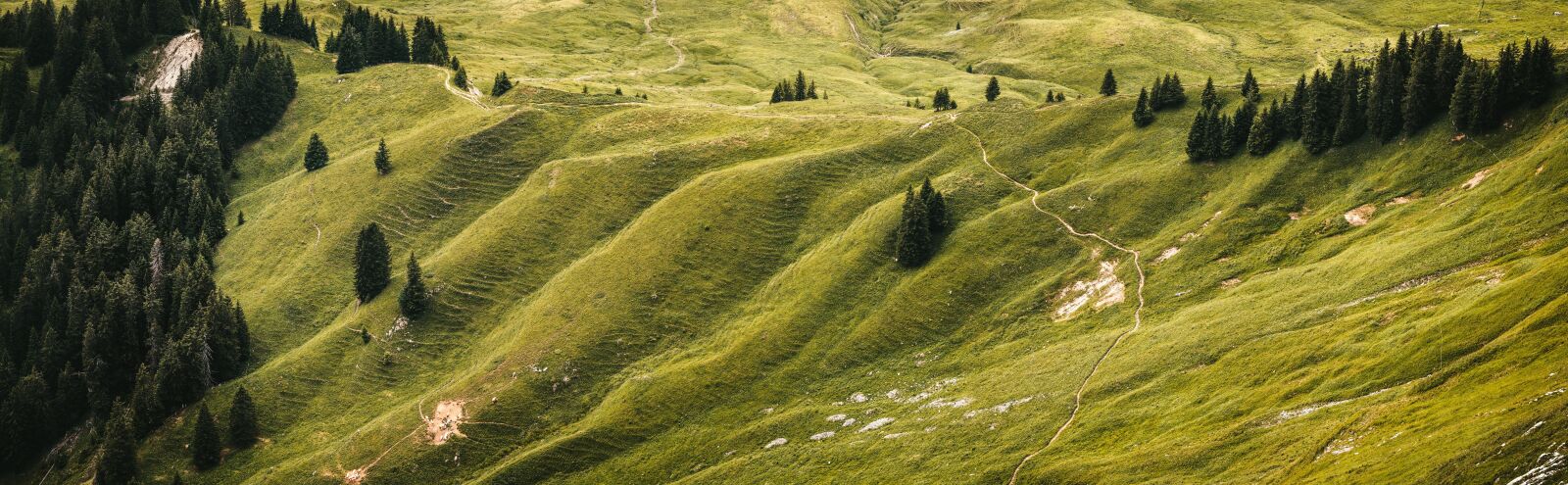 Sigma 105mm F1.4 DG HSM Art sample photo. Hill, landscape, hilly photography