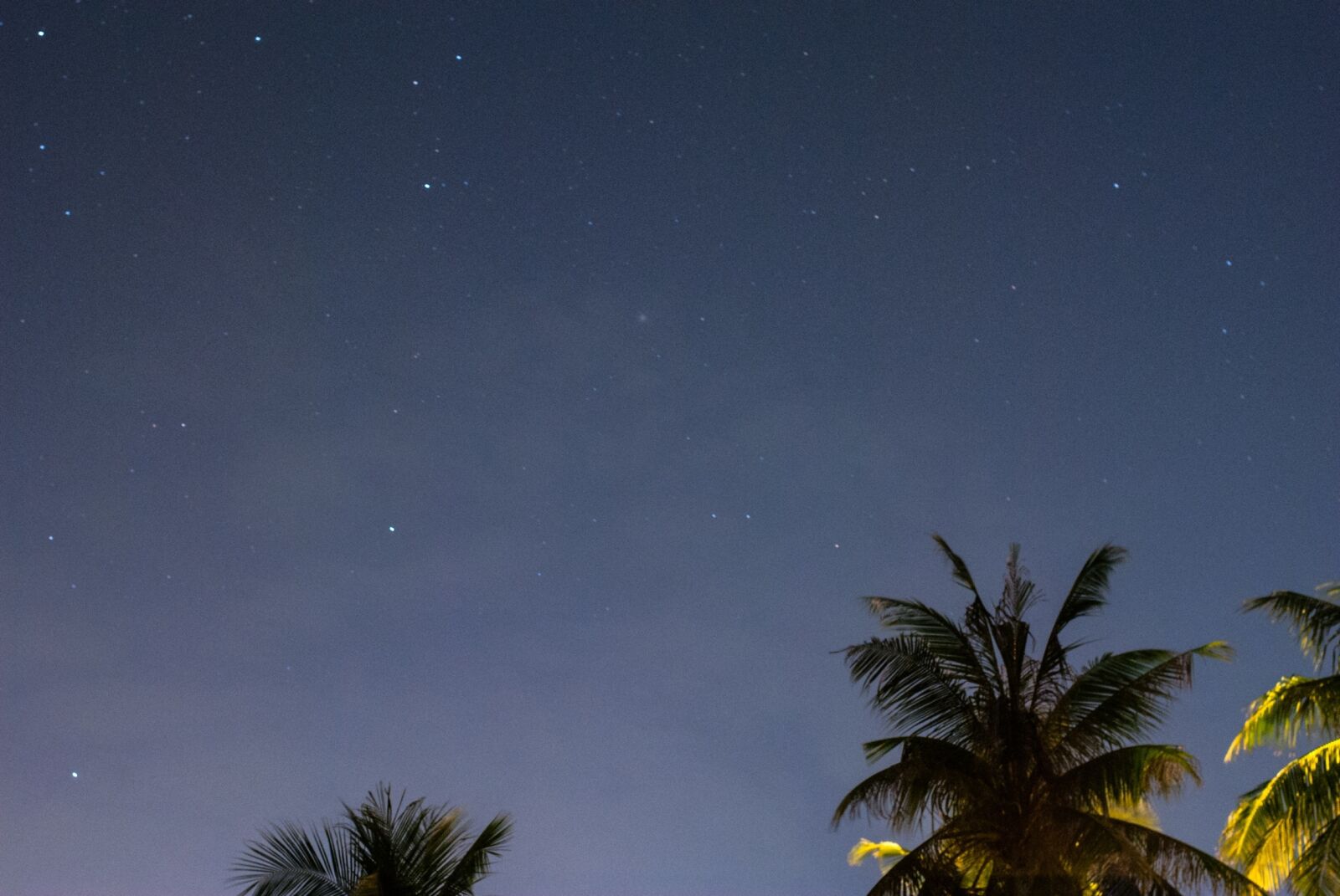Nikon D3000 sample photo. The star, hua hin photography