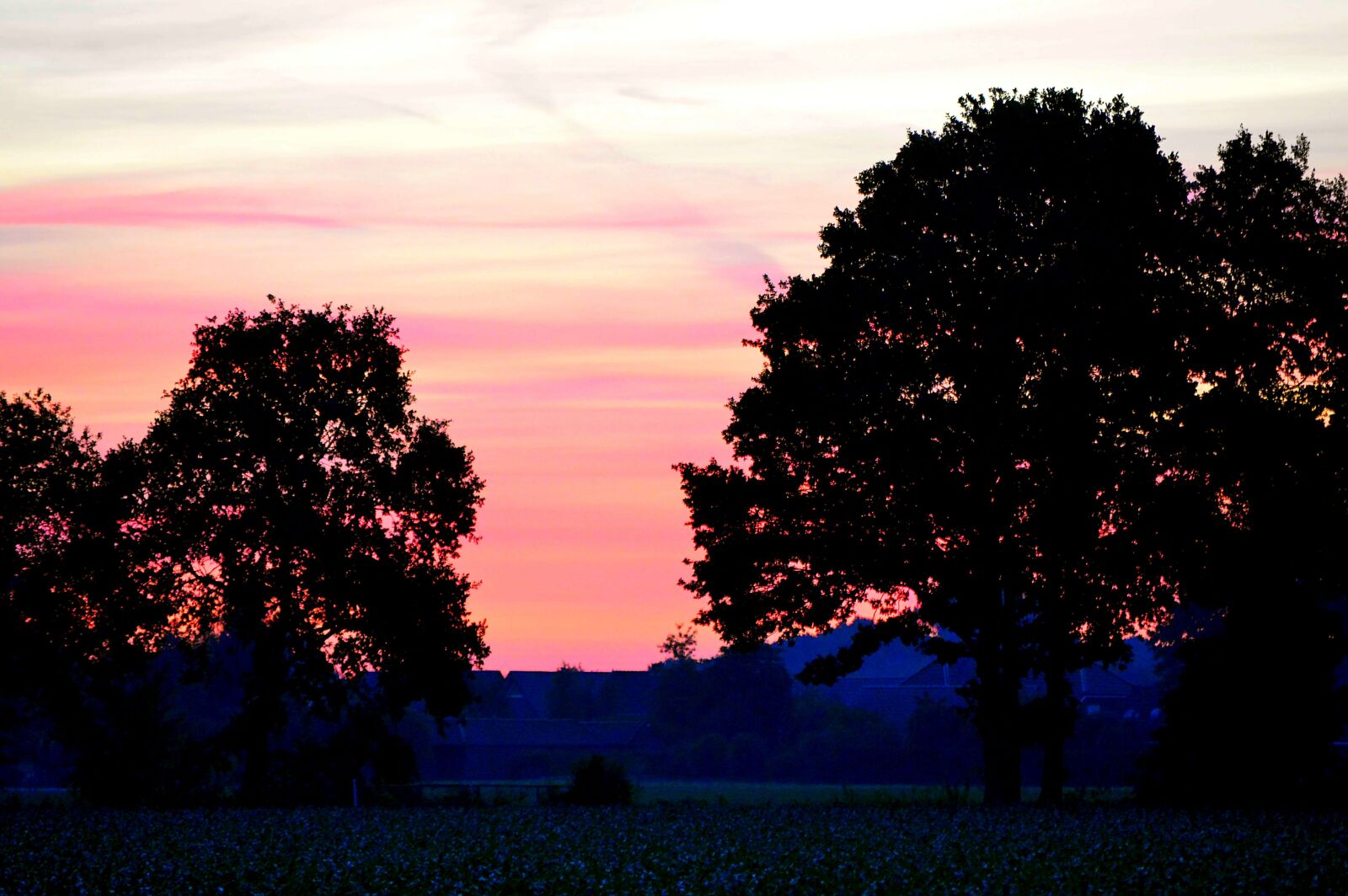 Nikon D3200 sample photo. Dawn, trees, sky photography
