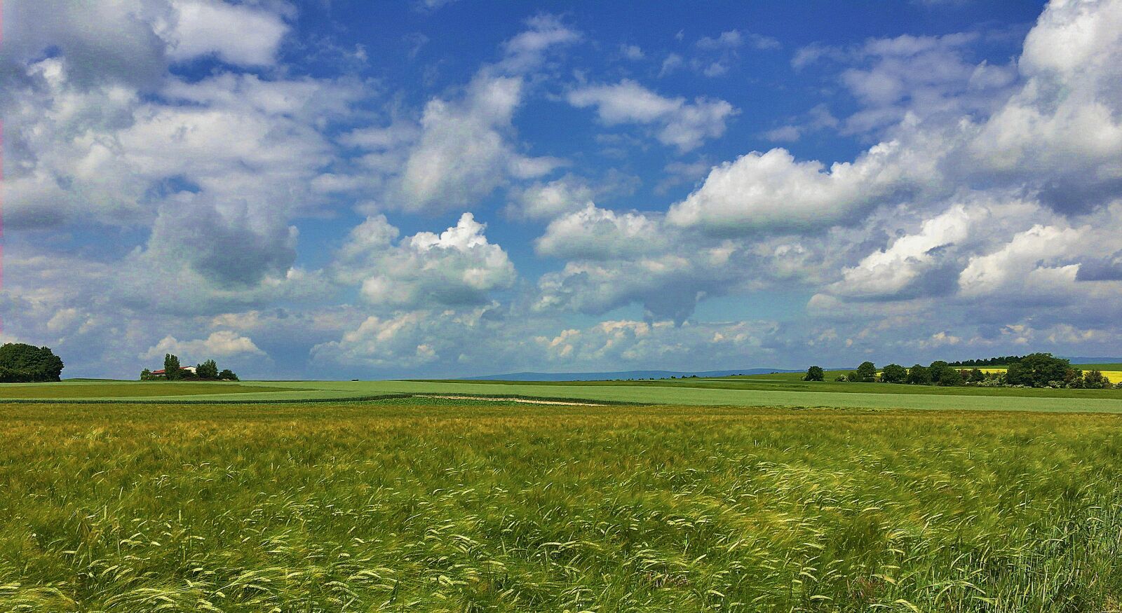 Apple iPhone 6s sample photo. Landscape, spring, clouds photography