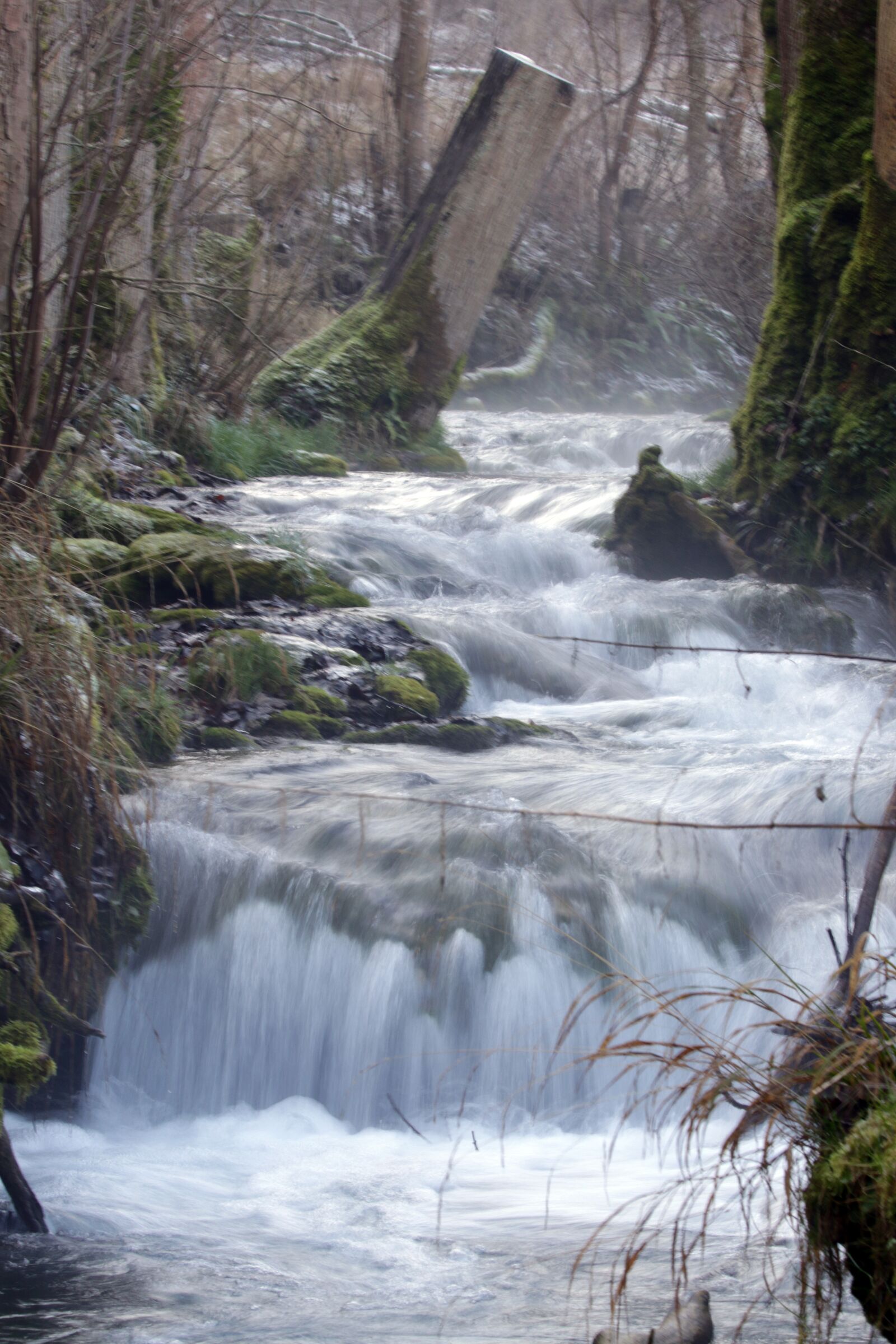 Canon EOS 7D Mark II sample photo. River, water, fog photography