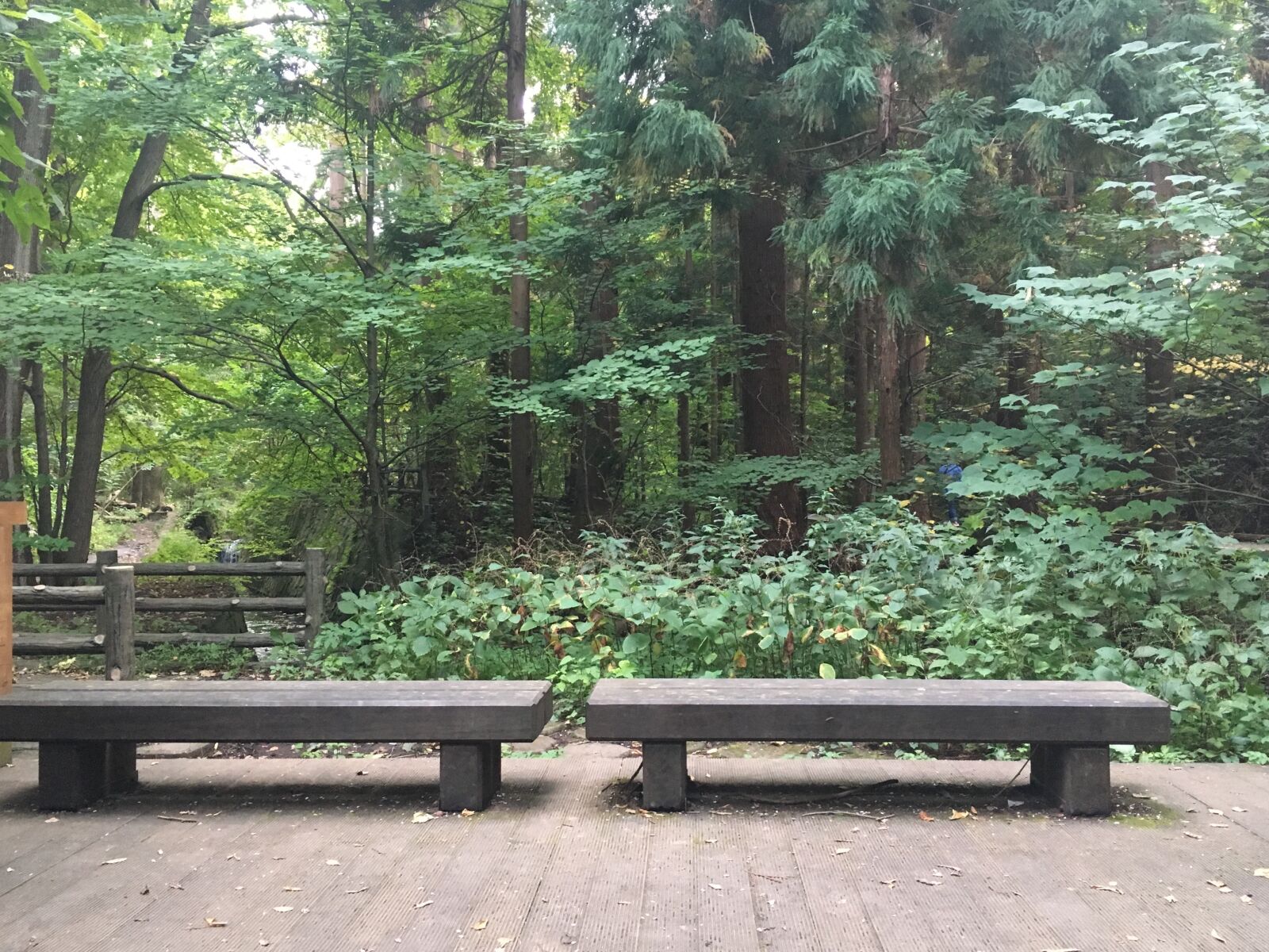 Apple iPhone 6s sample photo