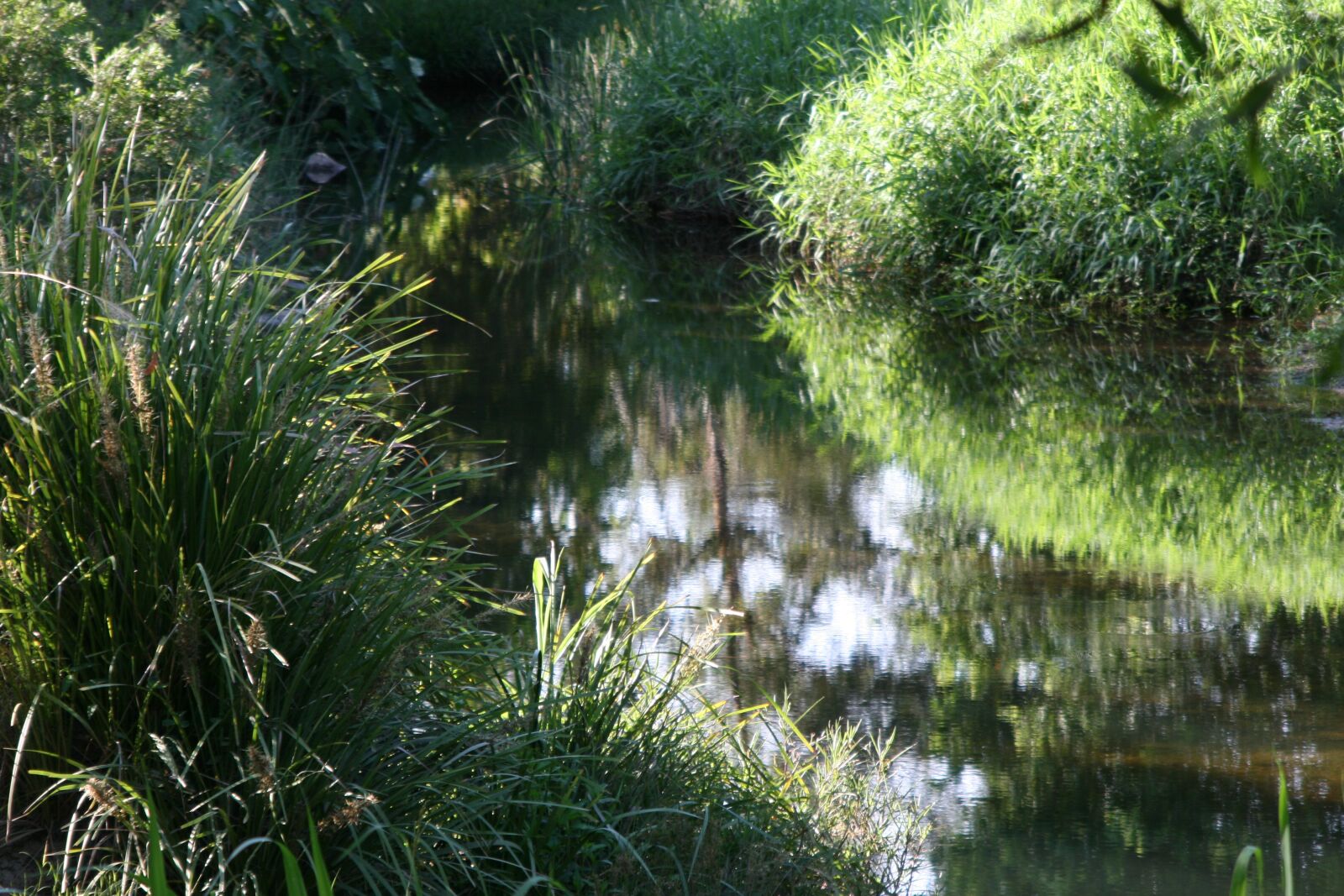 Canon EOS 400D (EOS Digital Rebel XTi / EOS Kiss Digital X) sample photo. Stream, meander, australia photography