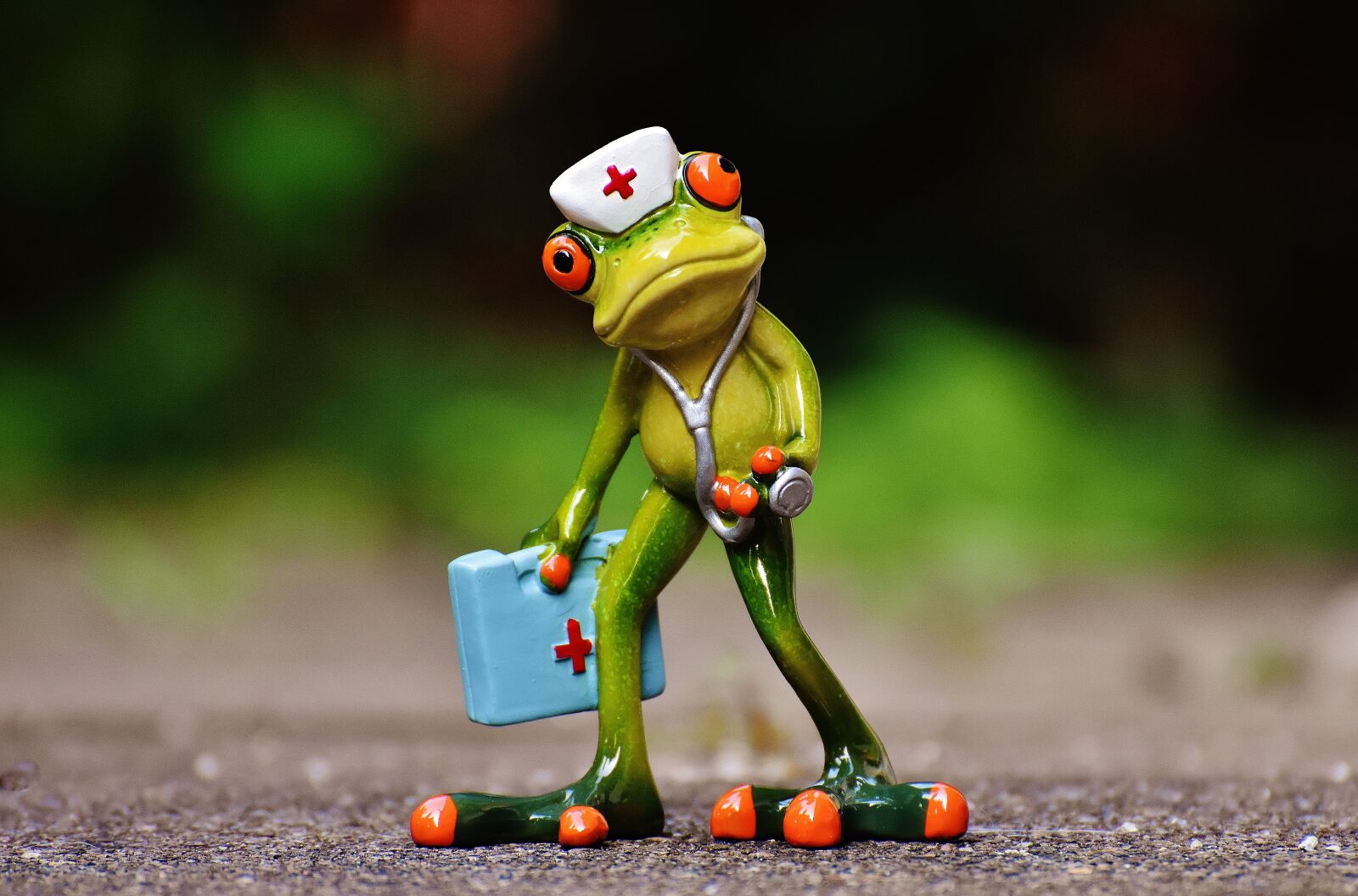 Nikon D7200 sample photo. Frog, figure, nurse photography