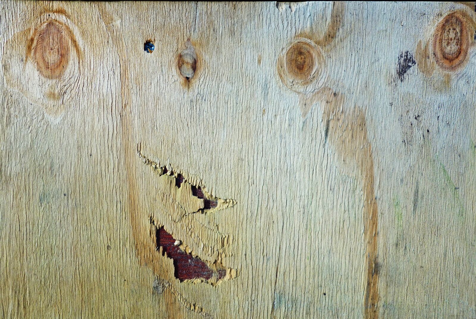 Sony Cyber-shot DSC-RX100 sample photo. Wood, board, grain photography