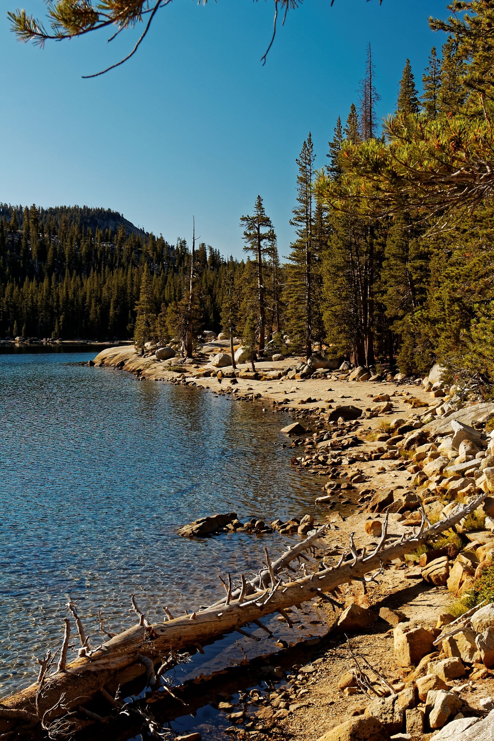 Nikon D50 sample photo. California, yosemite, lake photography