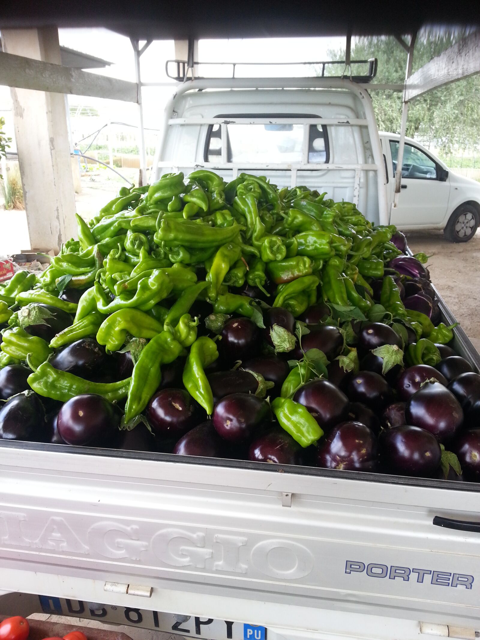 Samsung Galaxy Note2 sample photo. Vegetables, peppers, eggplant photography