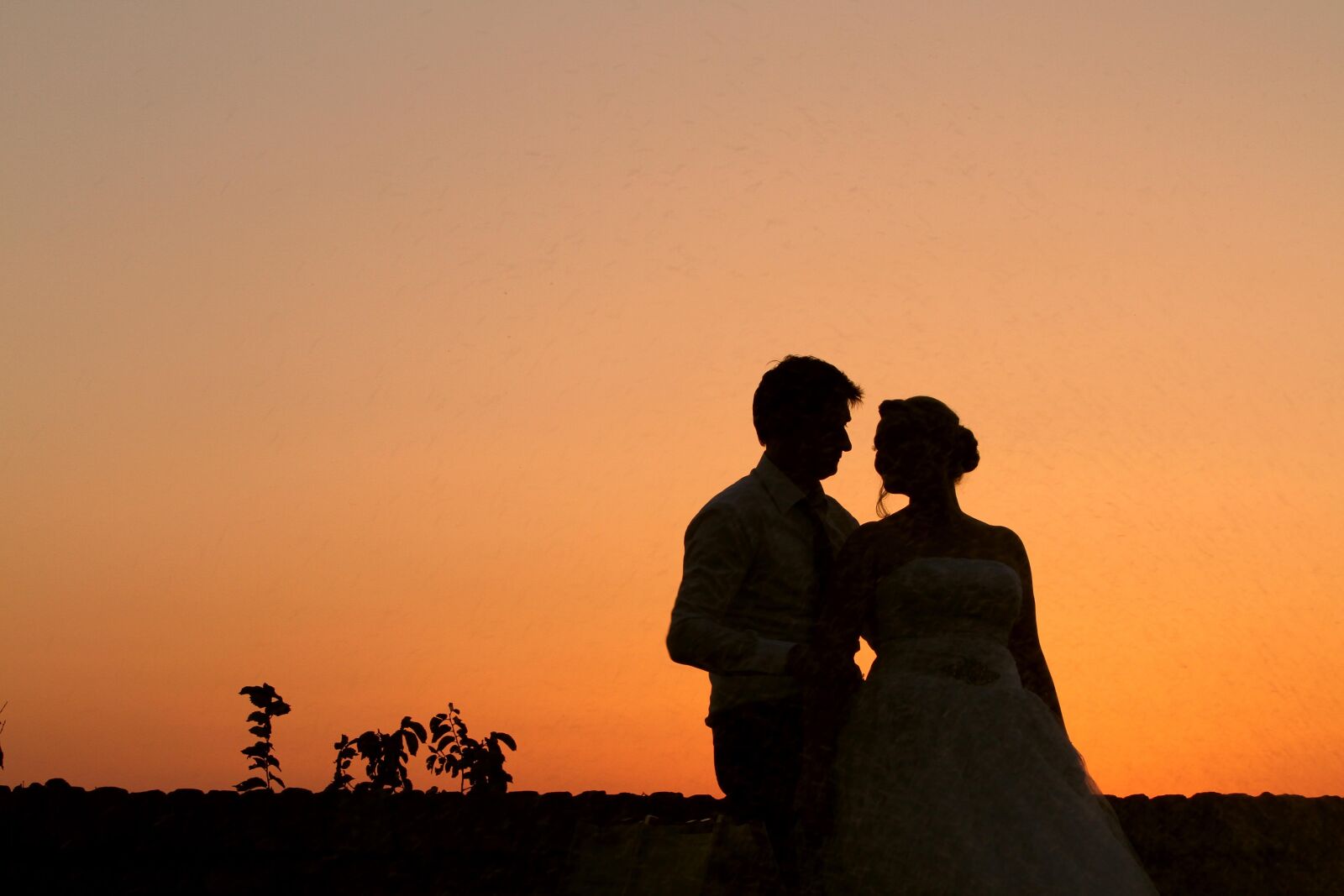 Canon EOS 7D sample photo. Bride, groom, sunset, silhouette photography