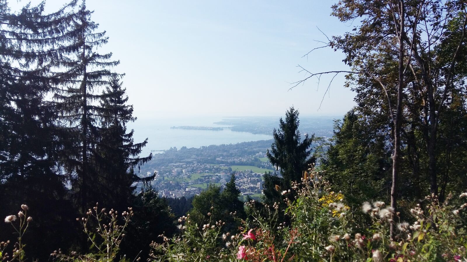 Samsung Galaxy A5 sample photo. Lake constance, mountain, trees photography