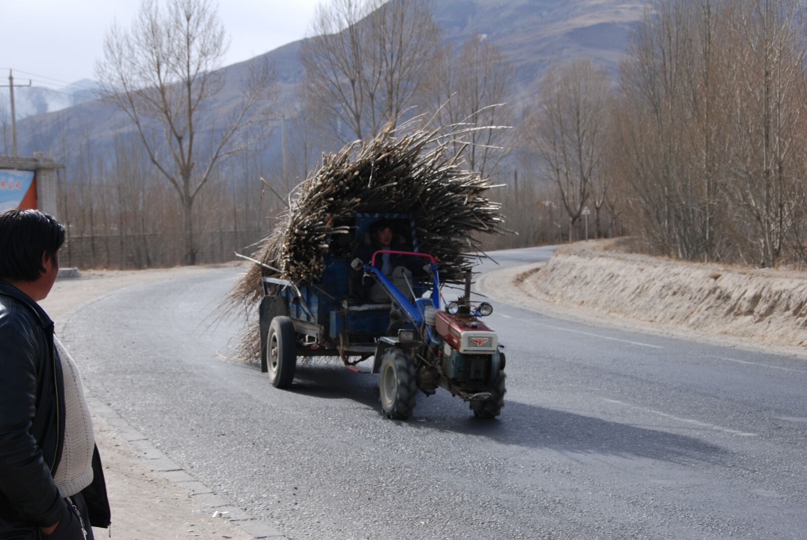 Nikon D80 sample photo. Tibet, wood, transporter photography