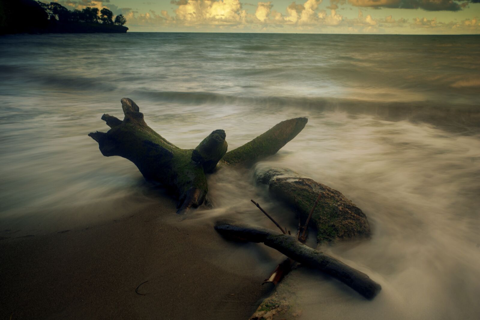 Tamron SP 24-70mm F2.8 Di VC USD sample photo. Wood, long exposure, sea photography