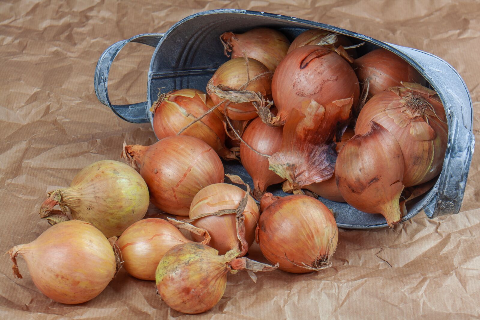 Canon EOS 50D sample photo. Onion, bag, jute photography