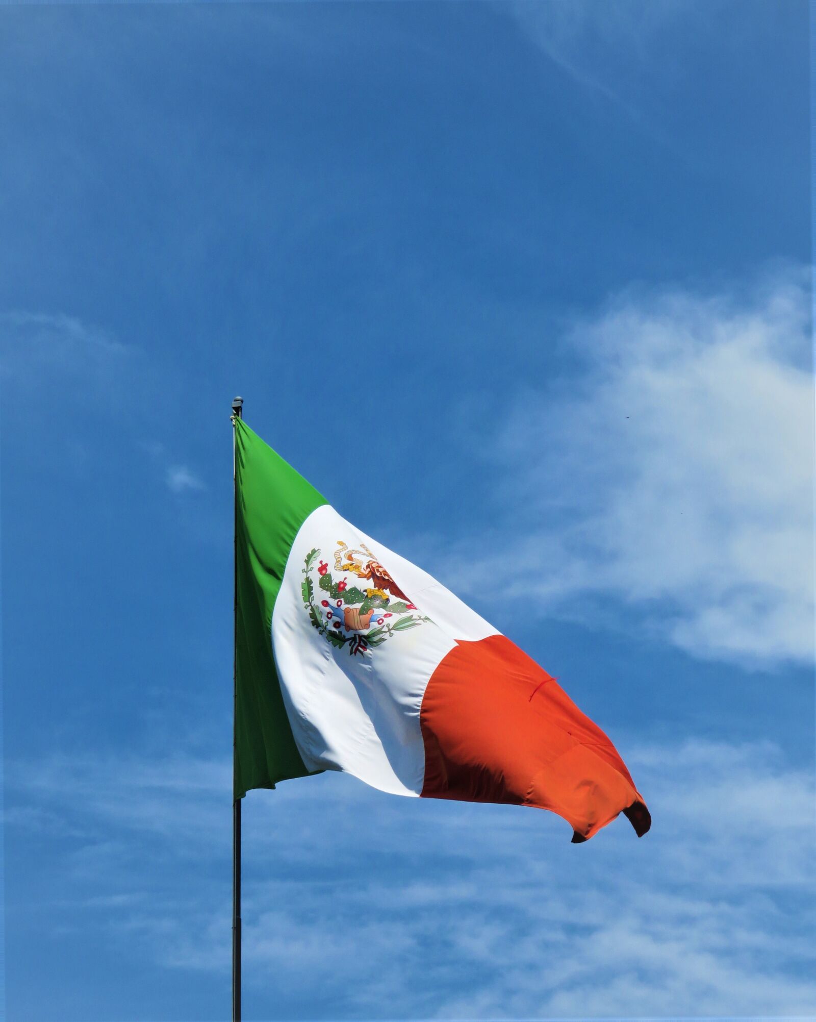 Canon PowerShot SX60 HS sample photo. Flag, mexico, mexican photography