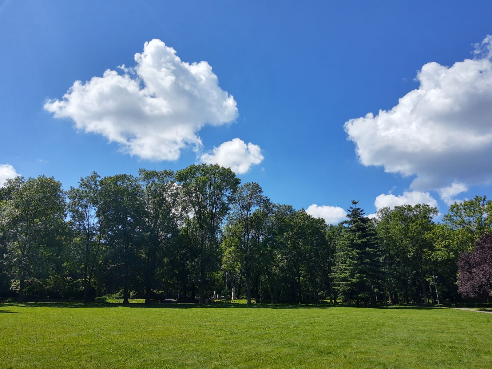 Motorola ONE ACTION sample photo. Sky, clouds, tree photography