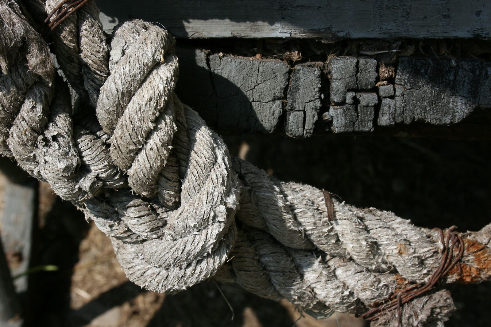 Canon EOS 400D (EOS Digital Rebel XTi / EOS Kiss Digital X) sample photo. Node, rope, knotted photography