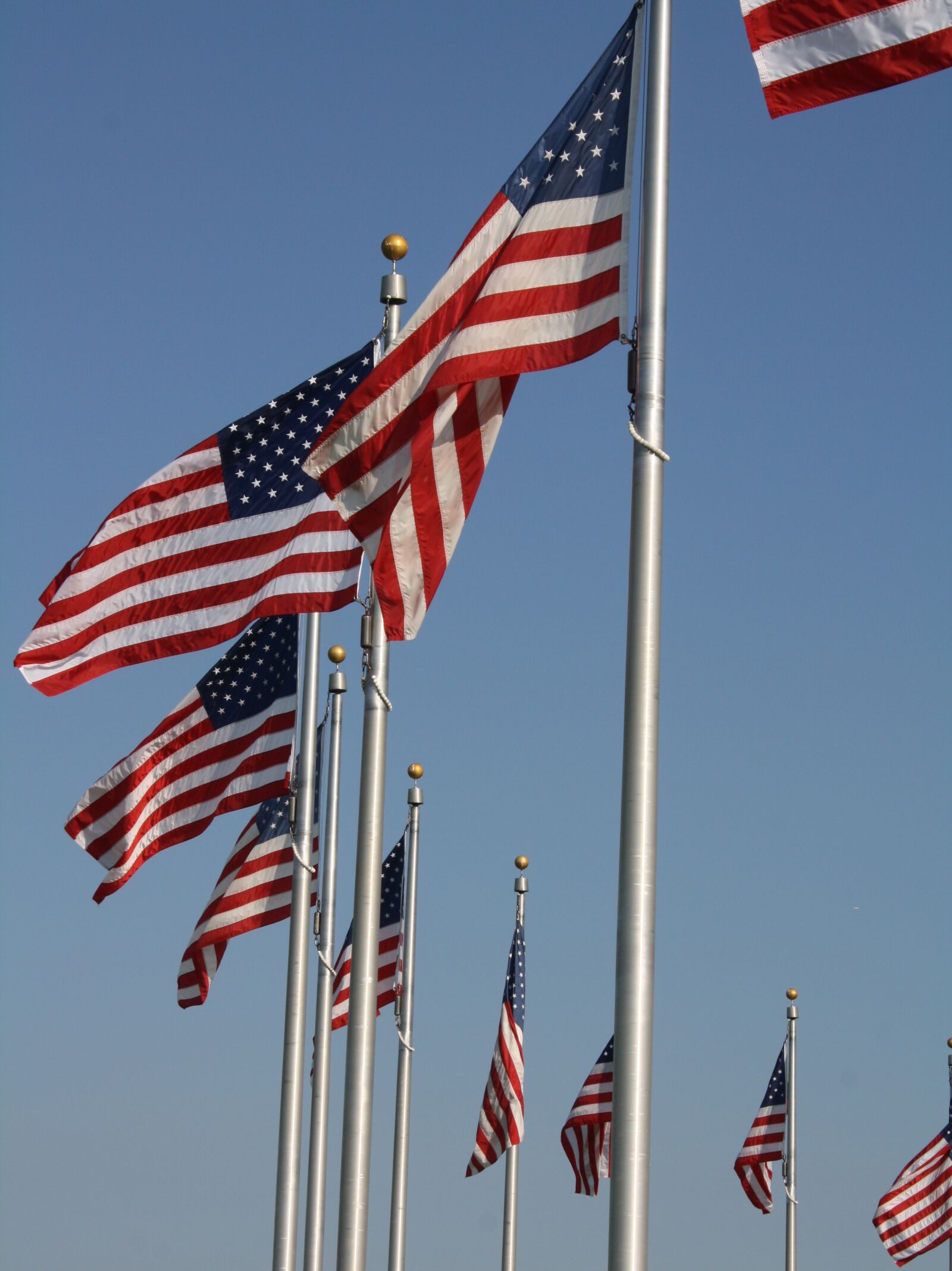 Canon EOS 1000D (EOS Digital Rebel XS / EOS Kiss F) sample photo. Flag, american flag, stars photography