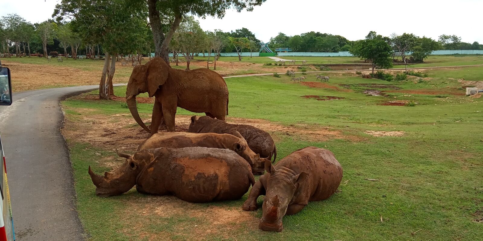 Xiaomi Redmi 6A sample photo. Zoo, elephant, animal photography