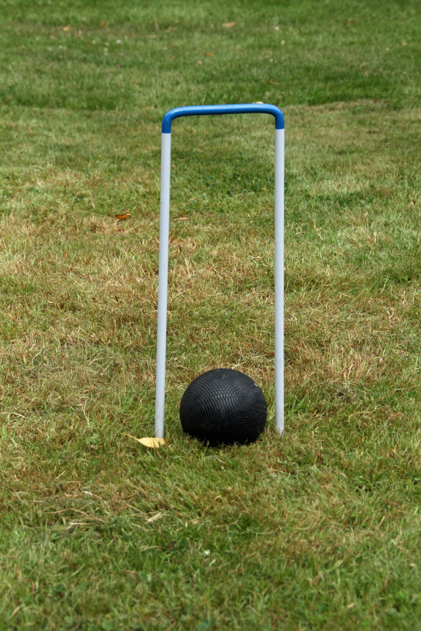 Canon EOS 7D sample photo. Croquet, wooden balls, hoop photography