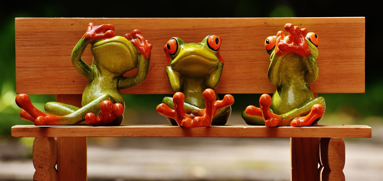 Nikon D7200 sample photo. Frogs, not see, not photography